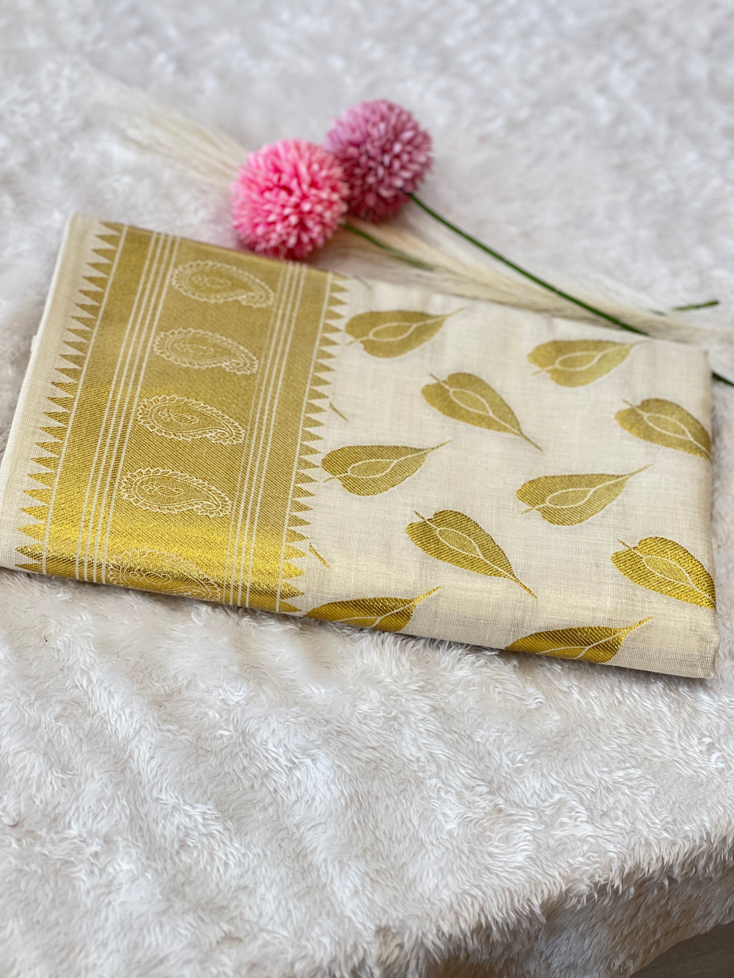 Paisley Pattern Cotton Saree | RLF219