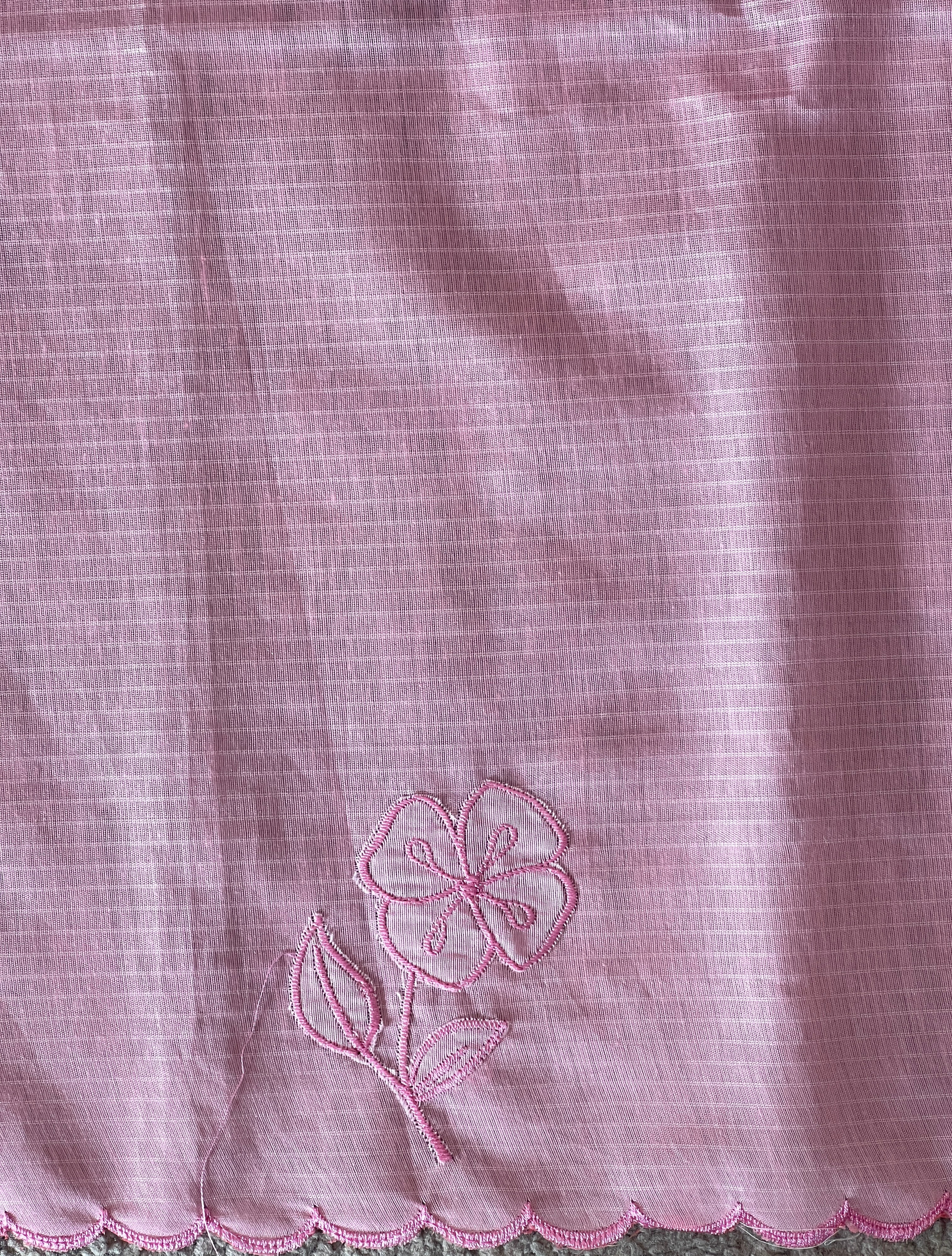 Applique Work & Embroidery Detailed Check Organza Saree | RSF114