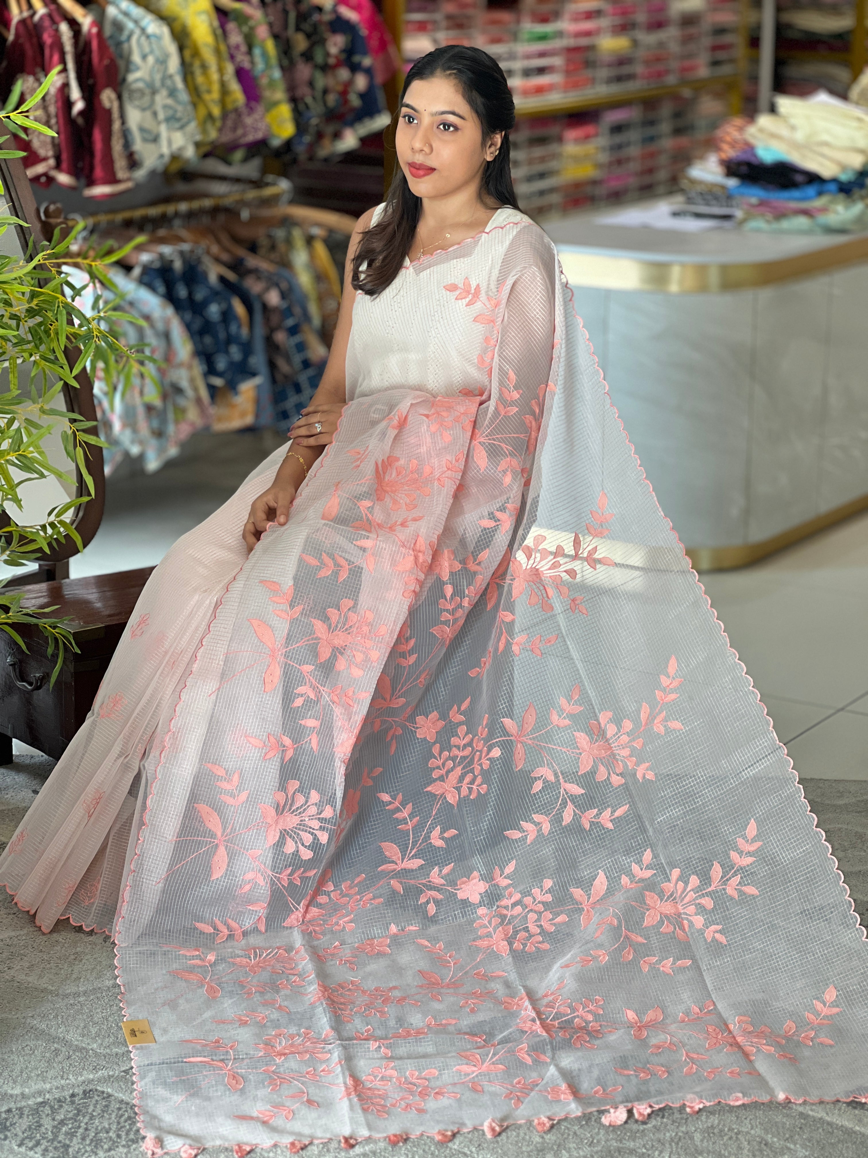 Applique Work & Embroidery Detailed Check Organza Saree | RSF111