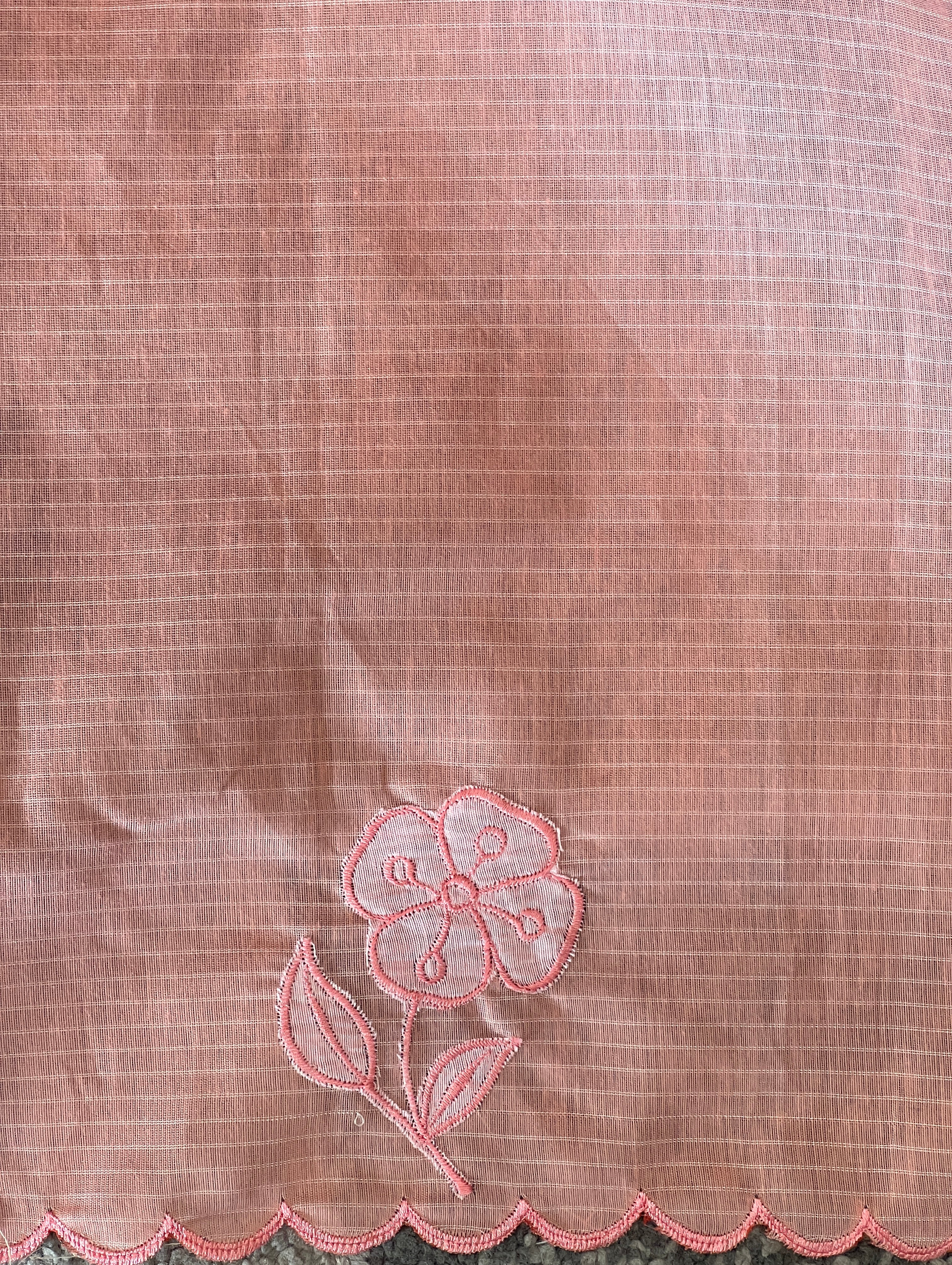 Applique Work & Embroidery Detailed Check Organza Saree | RSF111