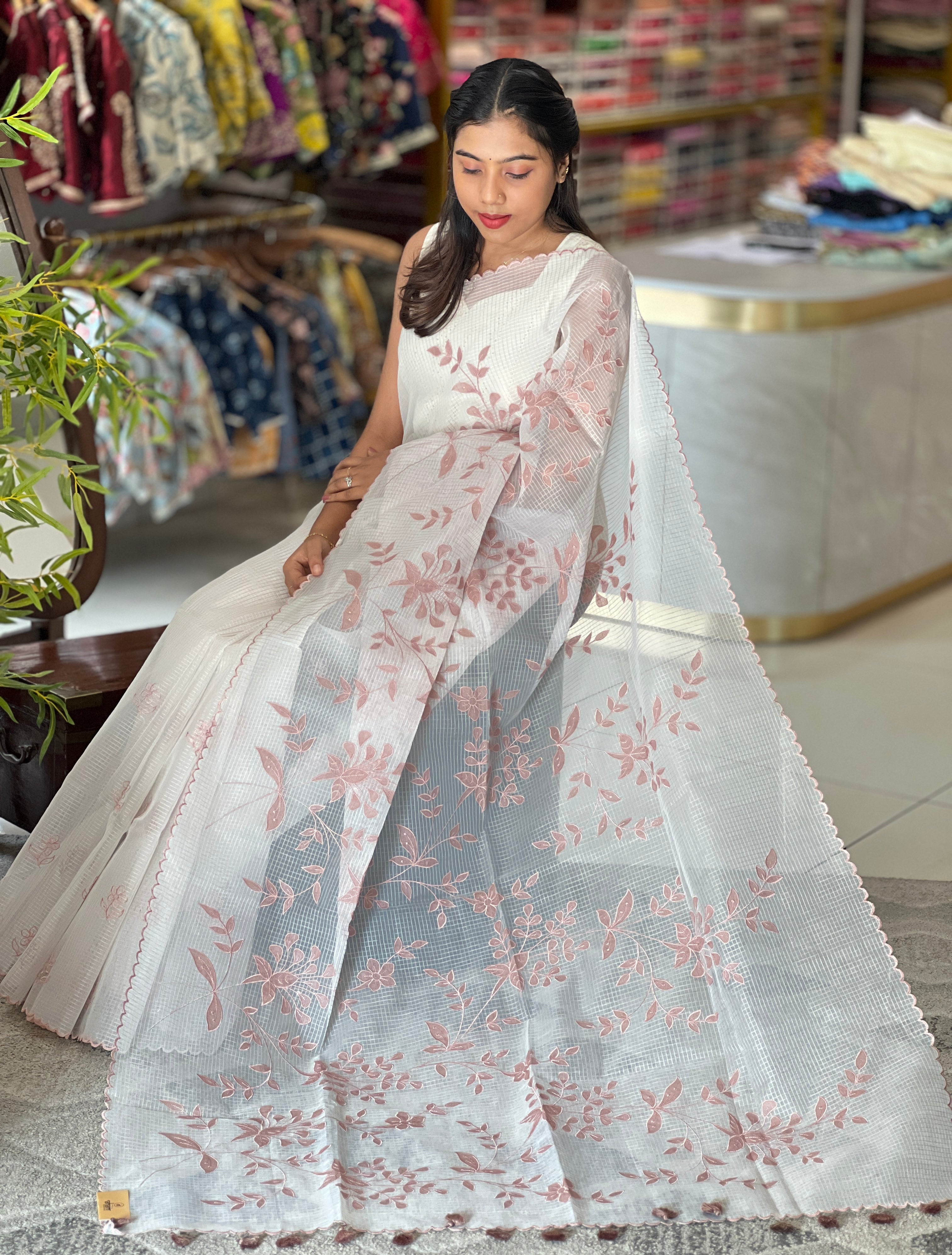 Applique Work & Embroidery Detailed Check Organza Saree | RSF112