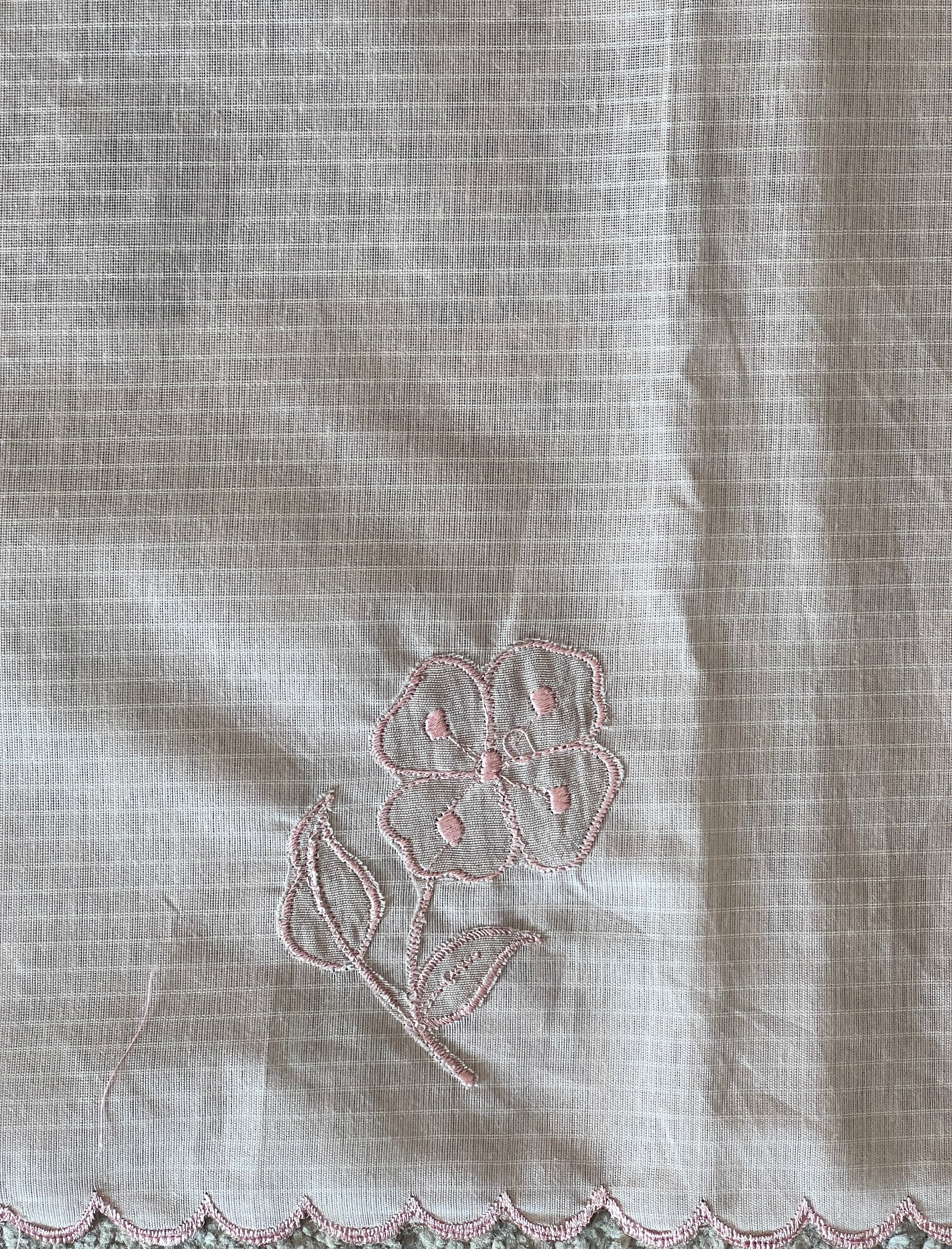 Applique Work & Embroidery Detailed Check Organza Saree | RSF112