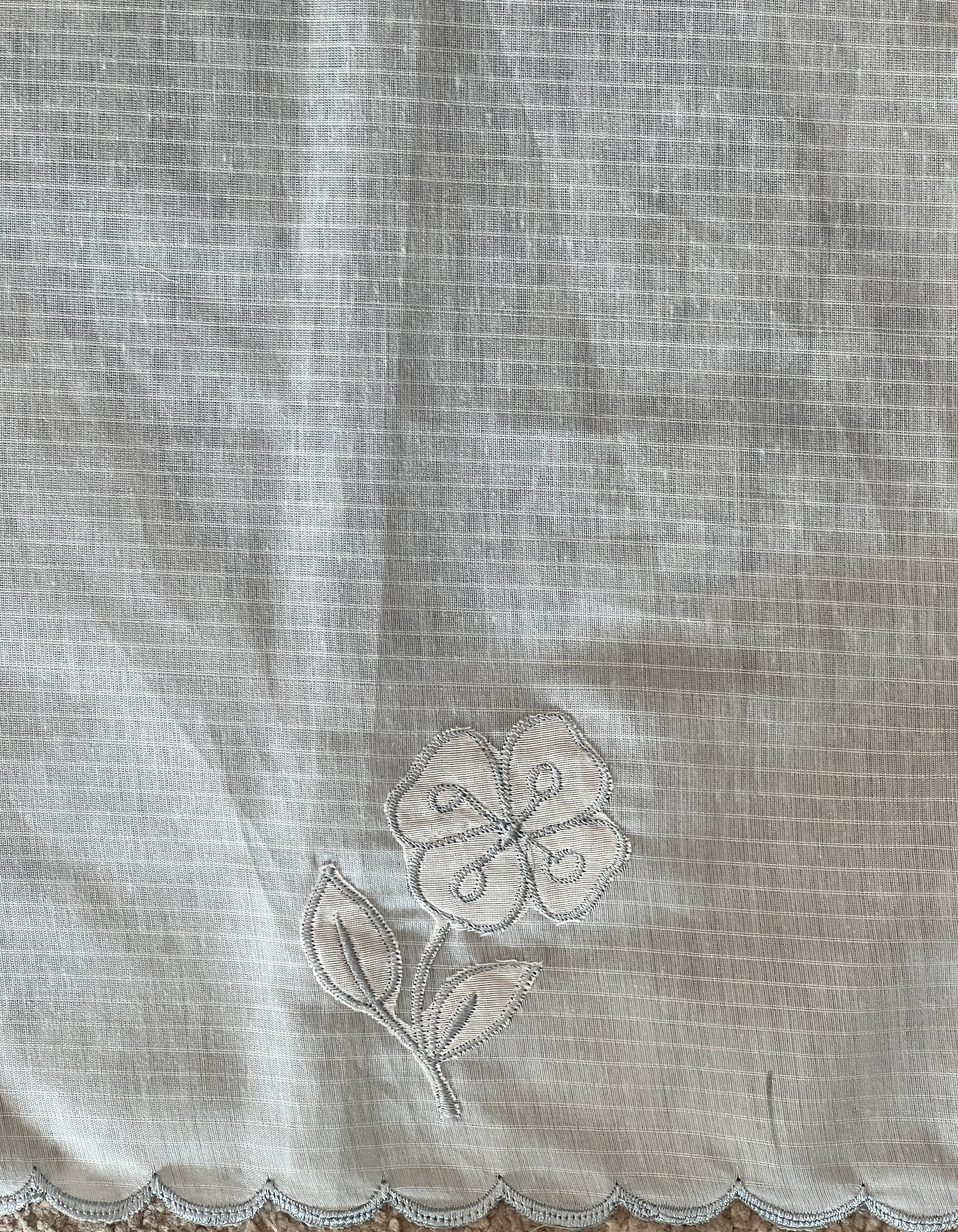 Applique Work & Embroidery Detailed Check Organza Saree | RSF110