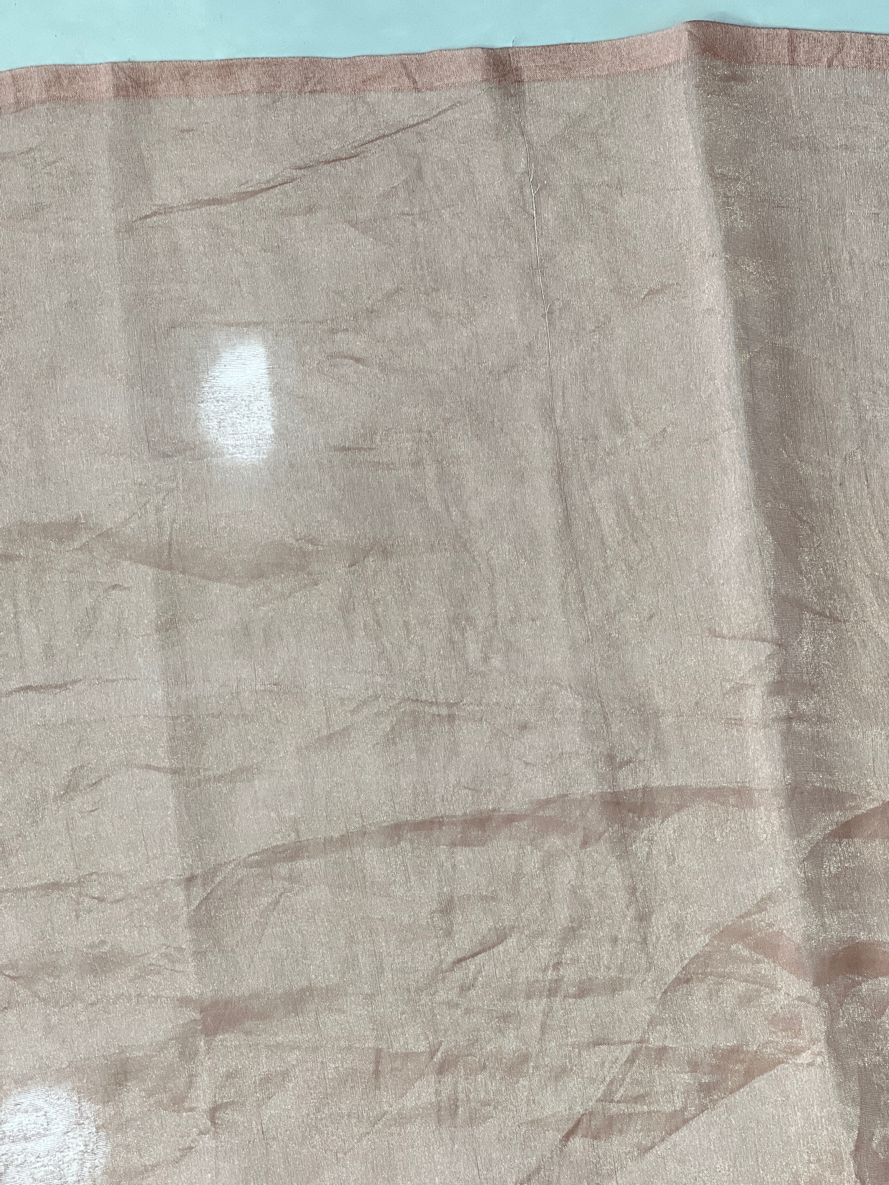 Embroidered Organza Saree | SMC208