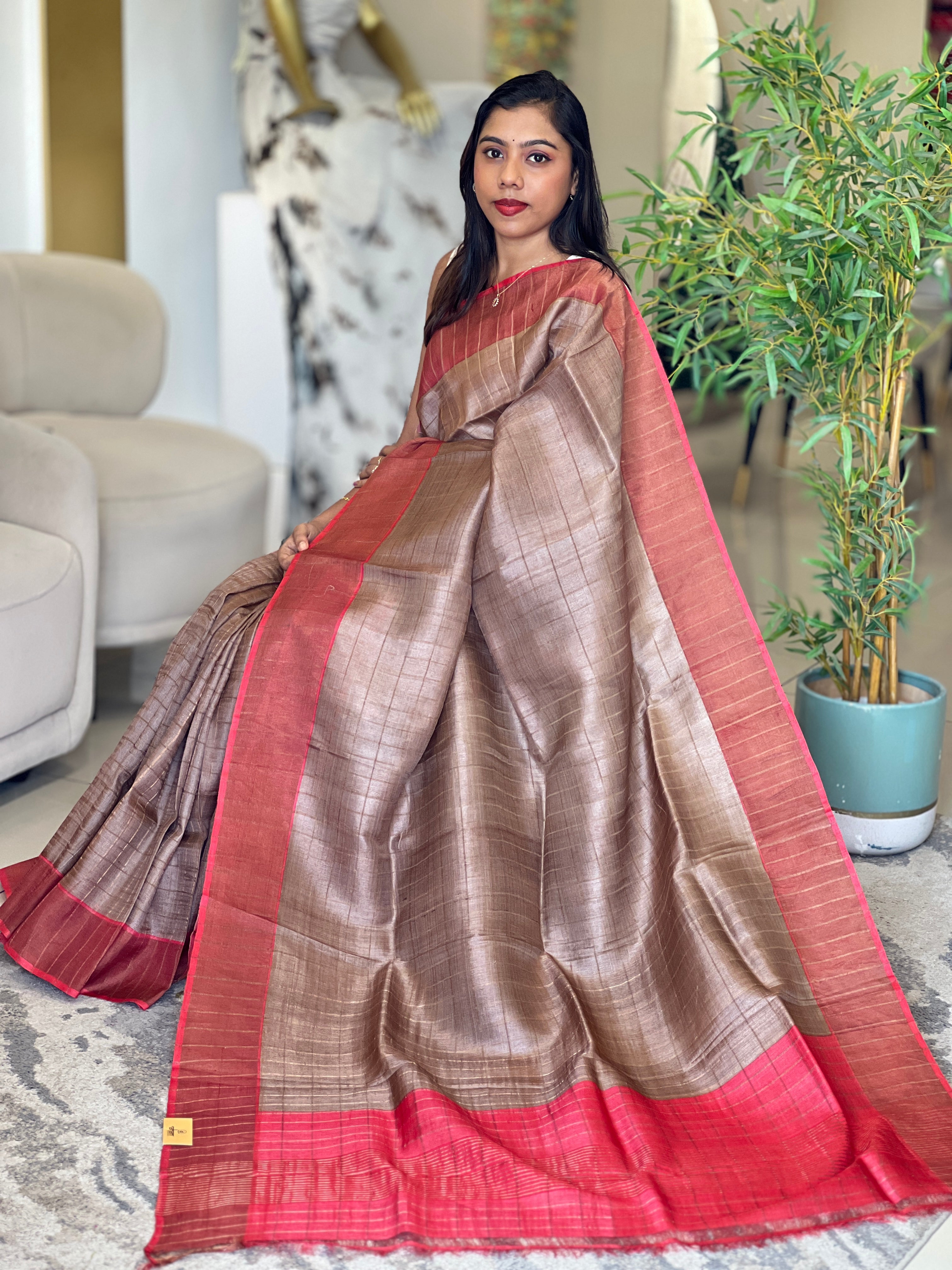 Zari Woven Check Patterned Tussar Saree | RGD1042