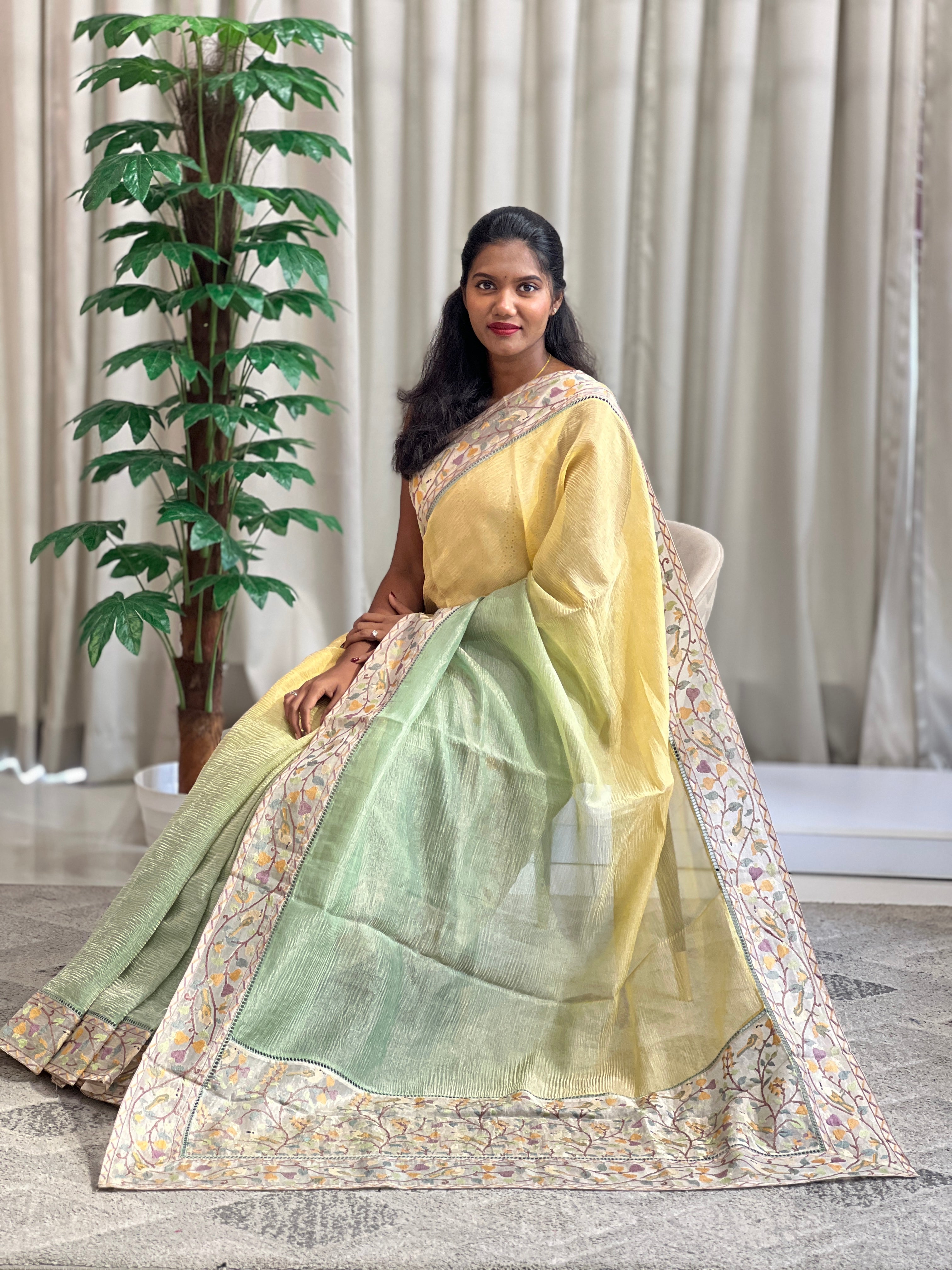 Embroidery Border Crush Tissue Organza Saree | SMC211