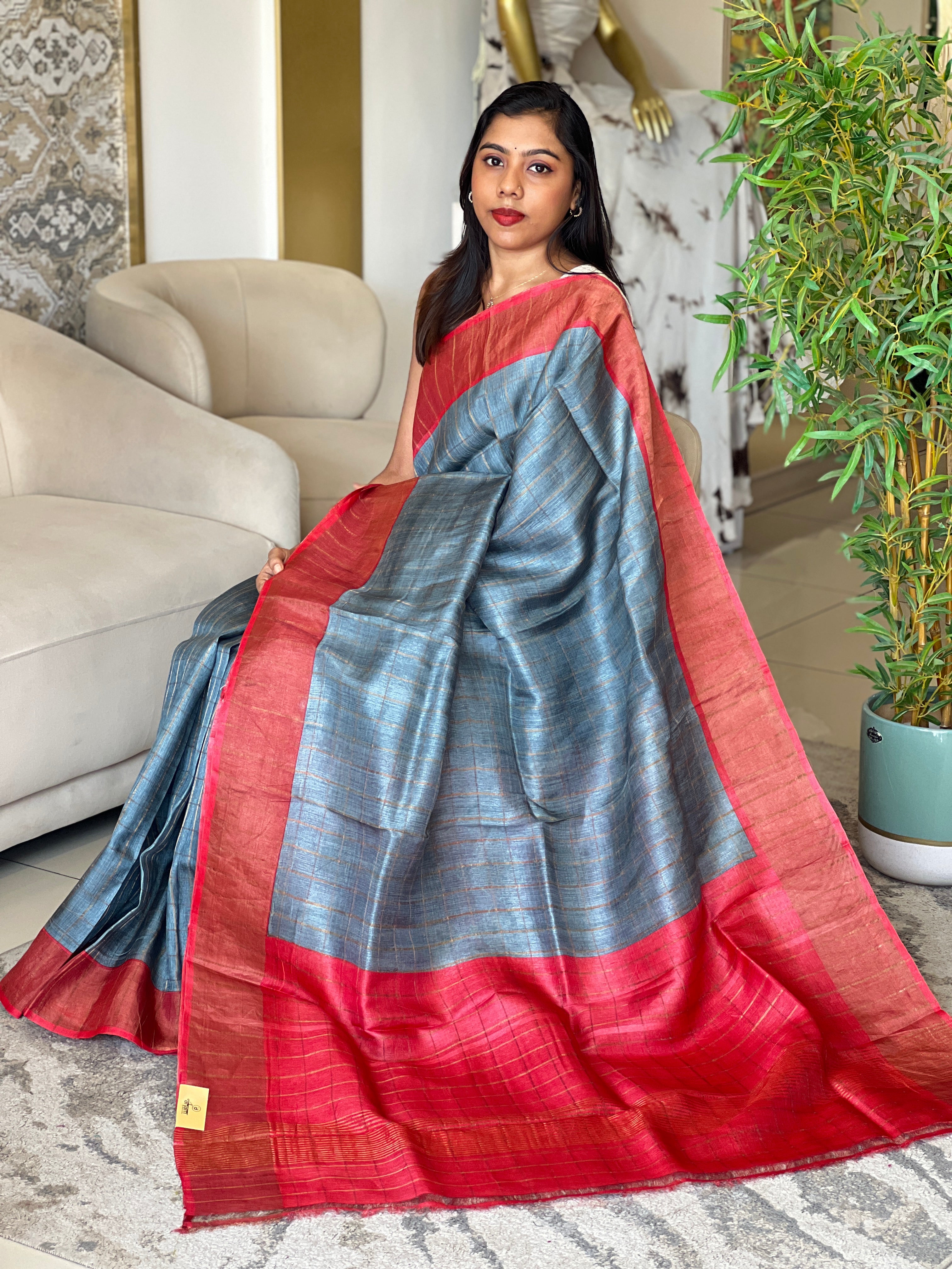 Zari Woven Check Patterned Tussar Saree | RGD1049