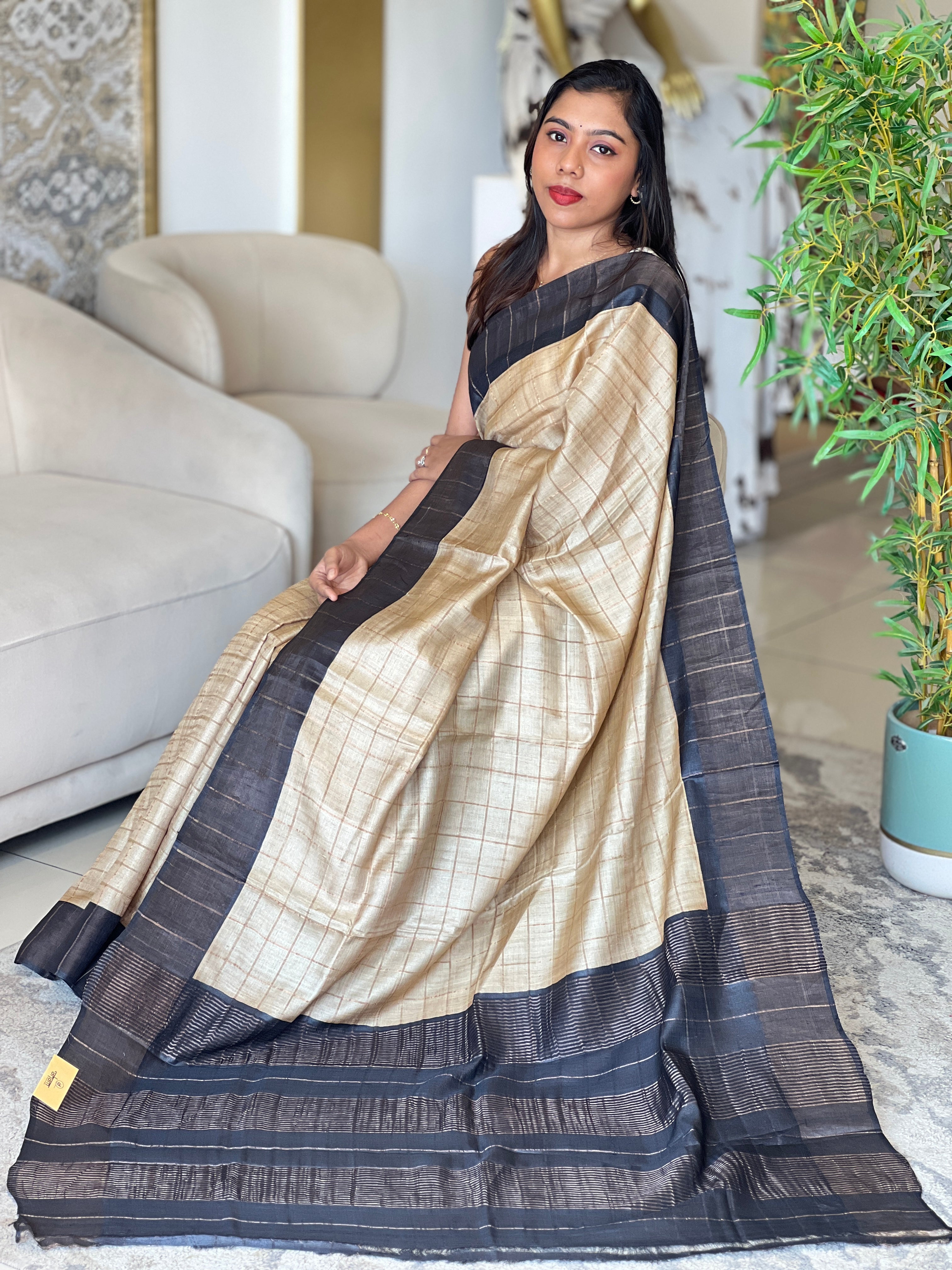 Zari Woven Check Patterned Tussar Saree | RGD1039