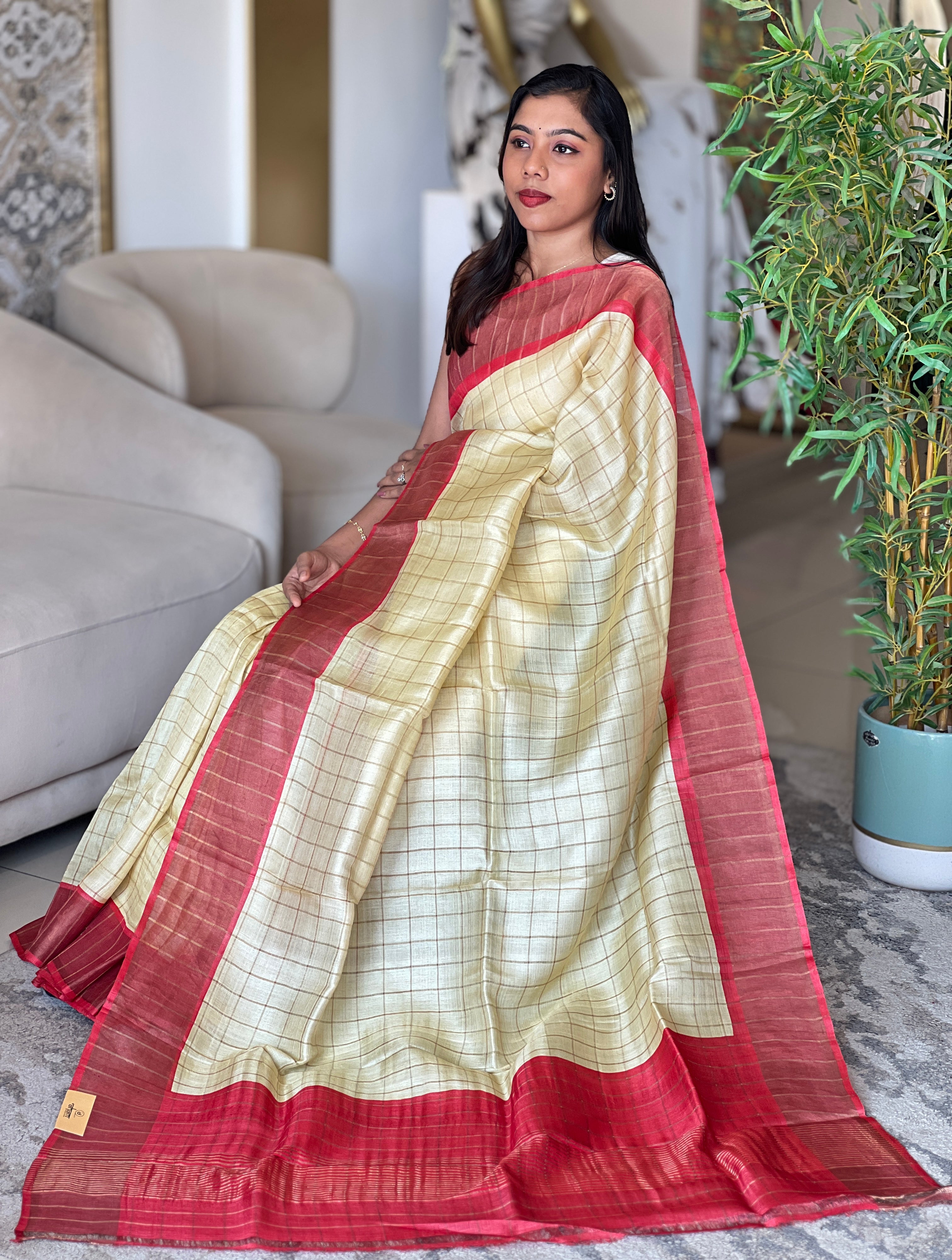 Zari Woven Check Patterned Tussar Saree | RGD1036
