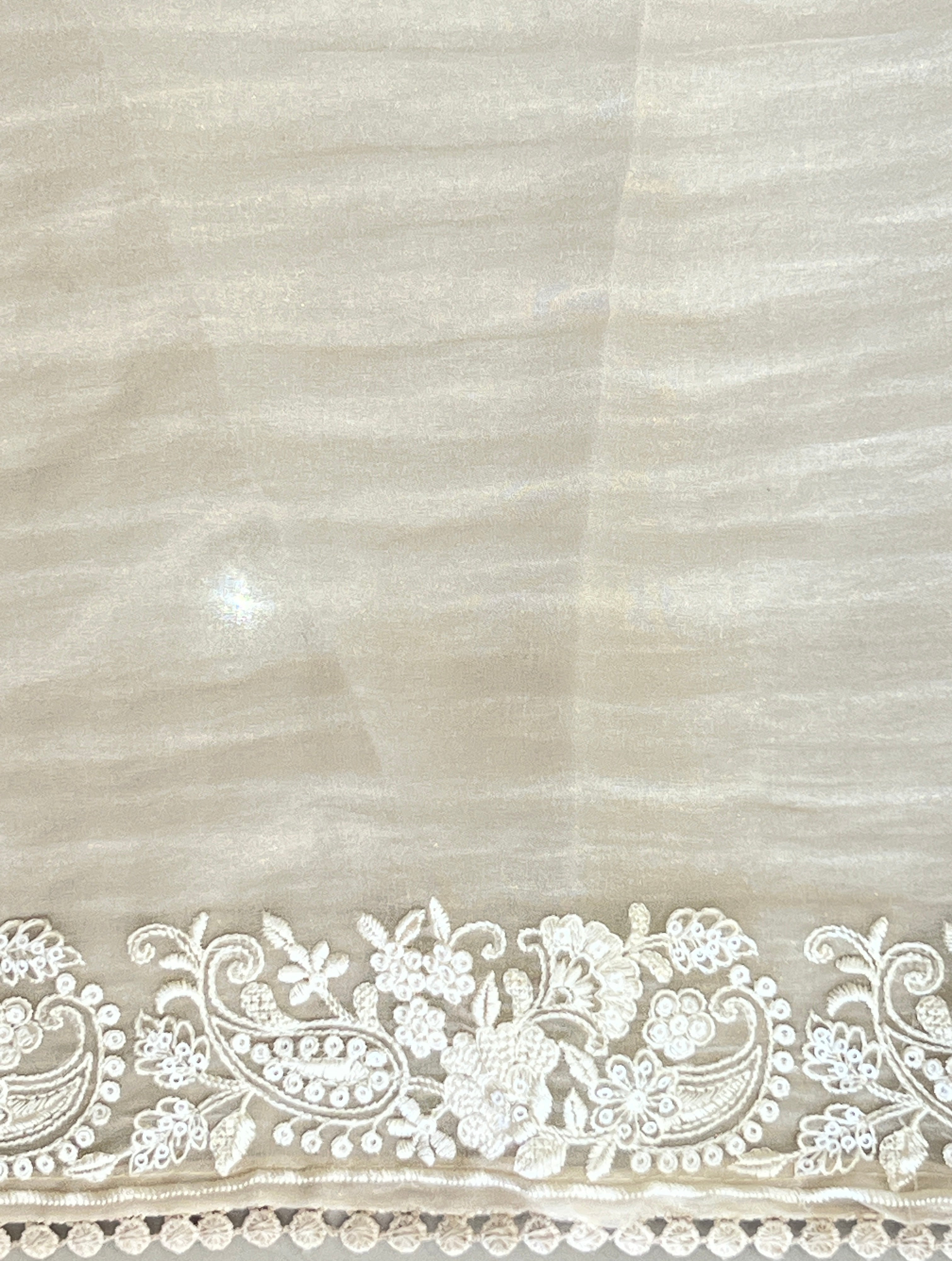 Lucknowi Embroidery Detailed Viscose Crushed Organza Saree | BLD2162