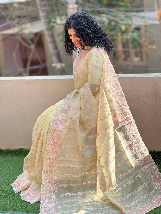 Embroidered Organza Saree | RGD153