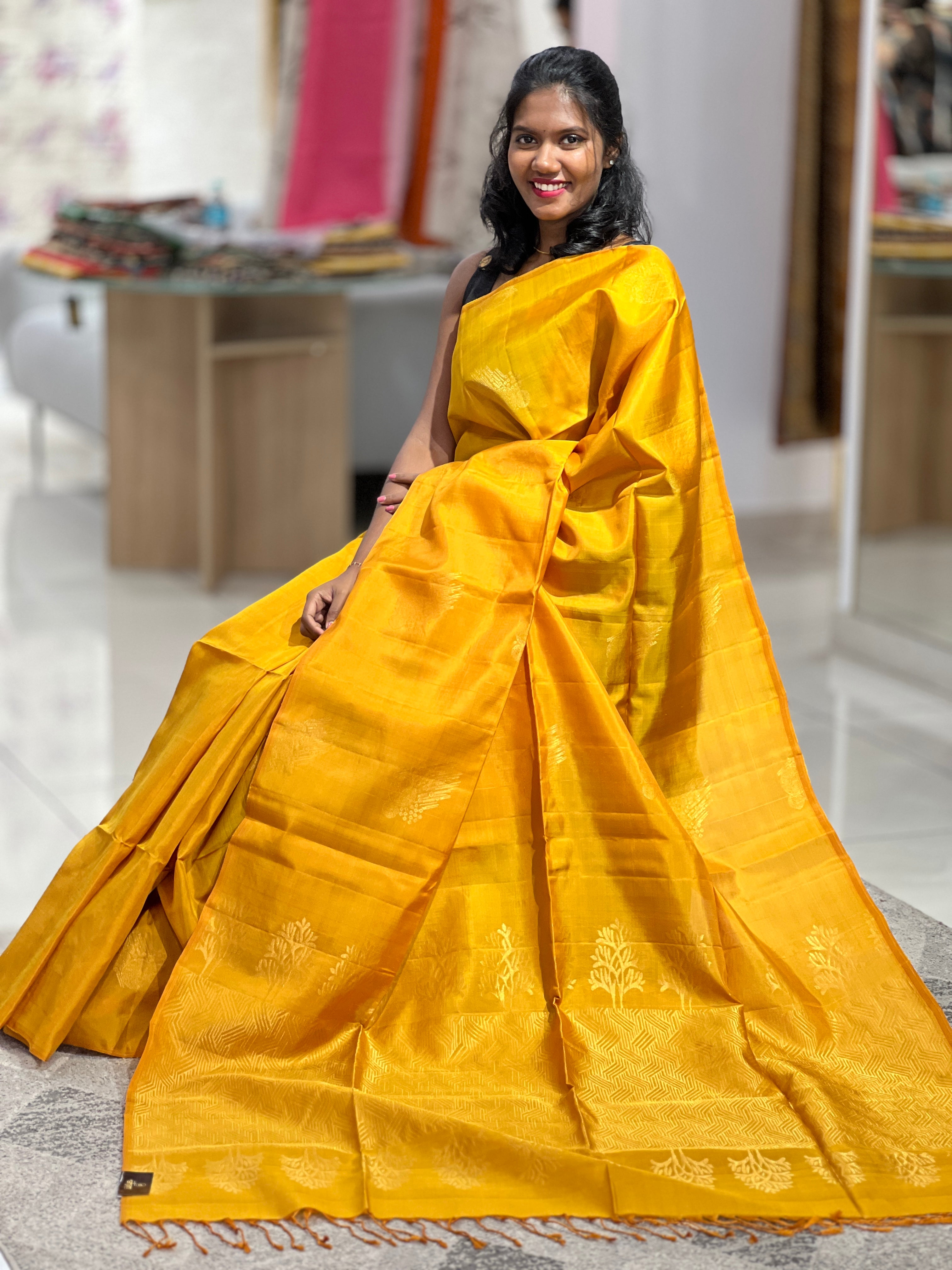 Zari Woven Soft Silk Saree  | TT257