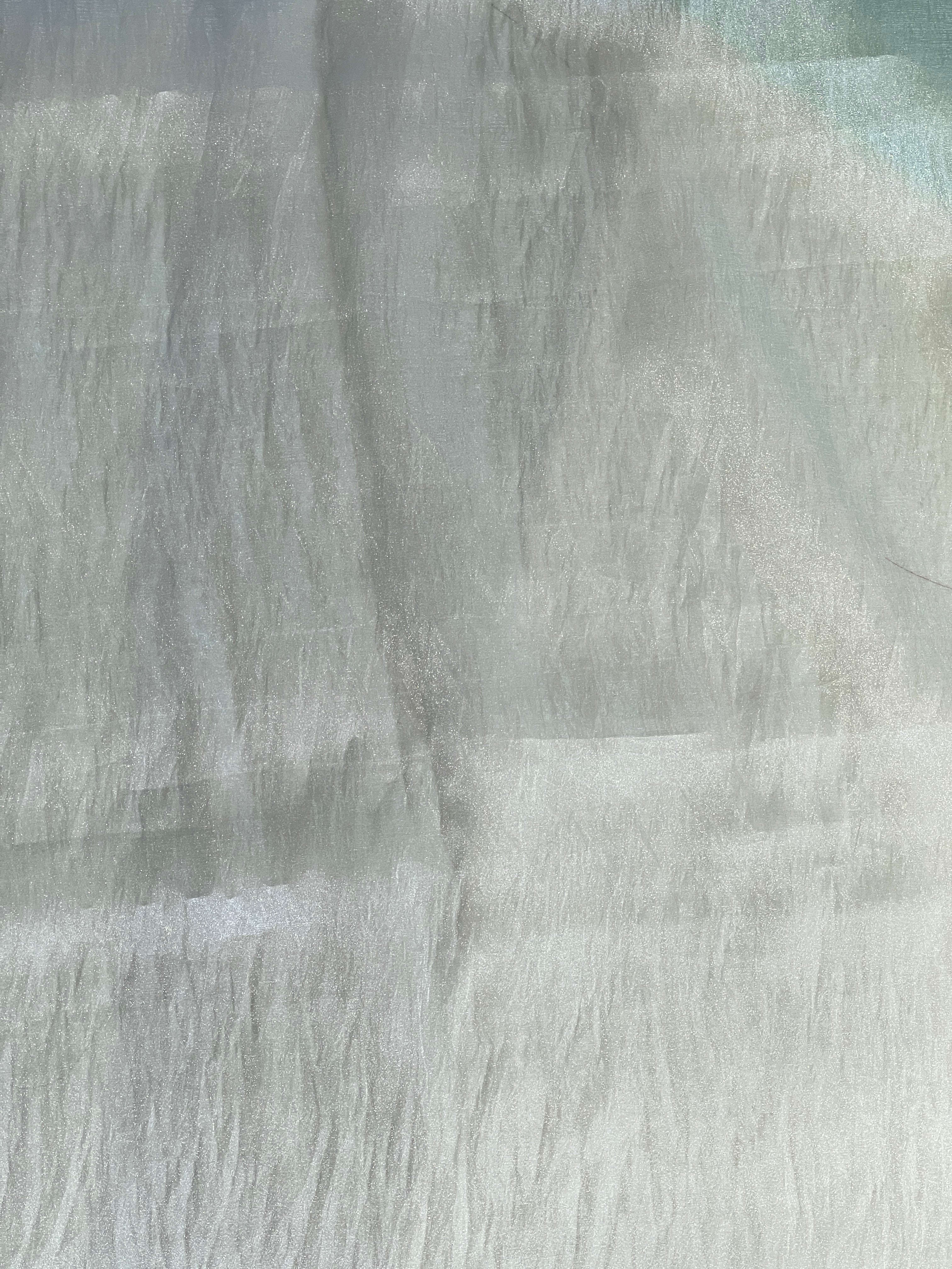 Machine Embroidery Cutwork Detailed Shimmer Organza Saree | BLD529
