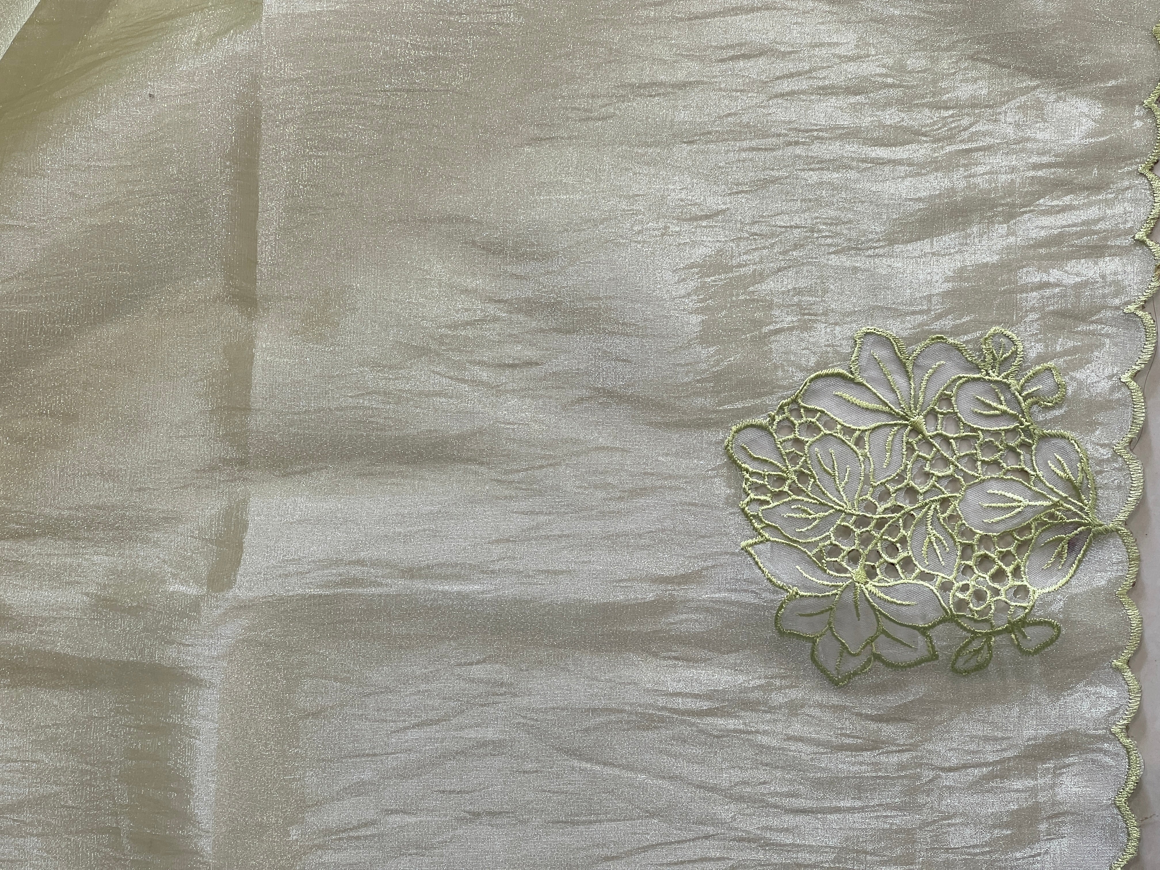 Machine Embroidery Cutwork Detailed Shimmer Organza Saree | BLD493