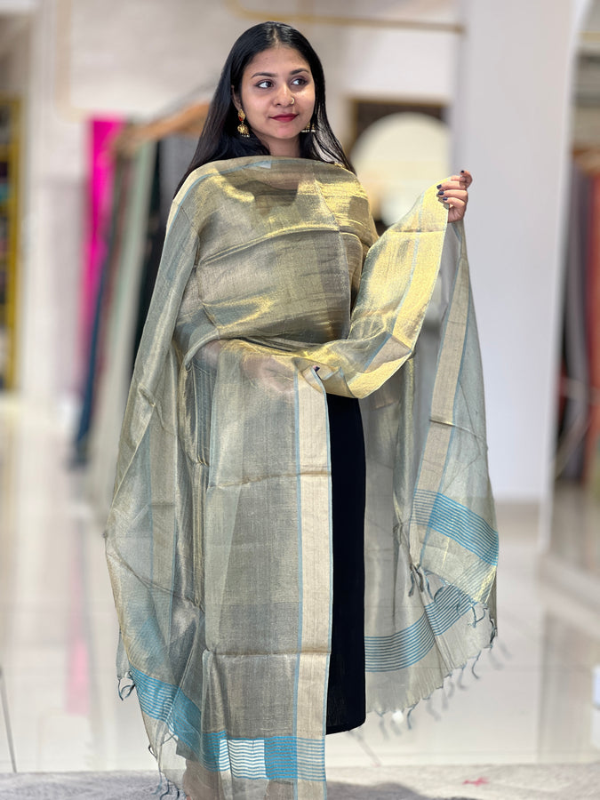 Zari Woven Border Detailed Tissue Dupatta | TSP162