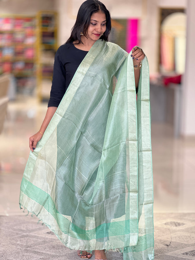 Zari Woven Border Detailed Tissue Dupatta | TSP163