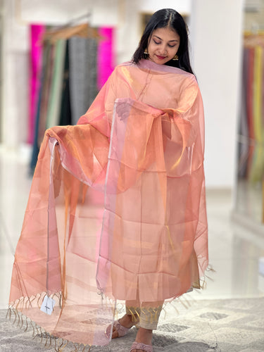 Contrast Border Detailed Tissue Dupatta | TSP179