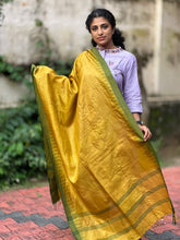 Temple Border Design Noil Tussar Dupatta | TSP104