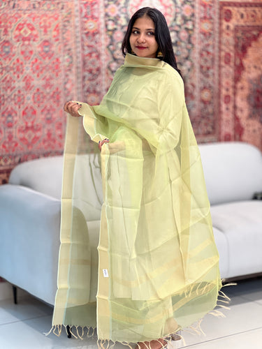 Diagonal Weaved Border Detailed Tissue Dupatta | TSP164