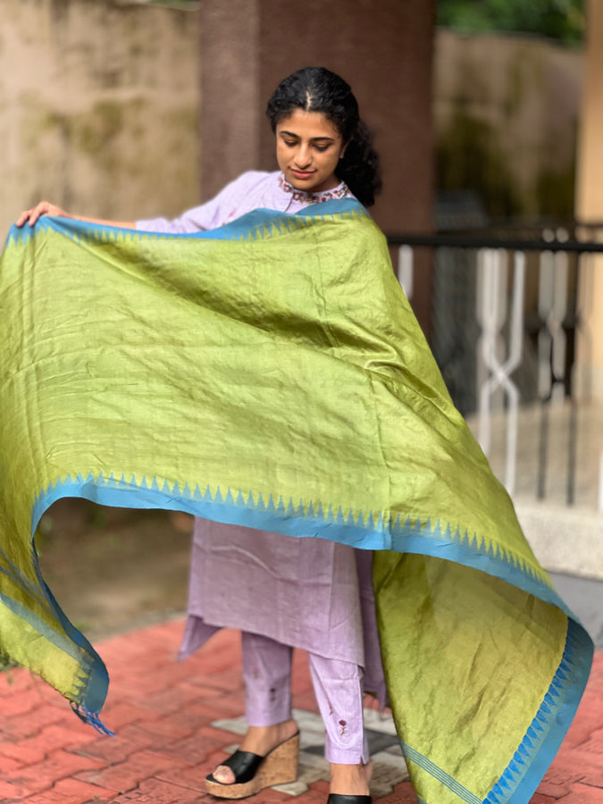 Temple Border Design Noil Tussar Dupatta | TSP105