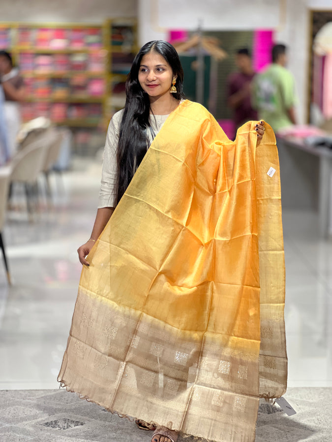 Kesiya Weaved Tussar Dupatta | TSP147