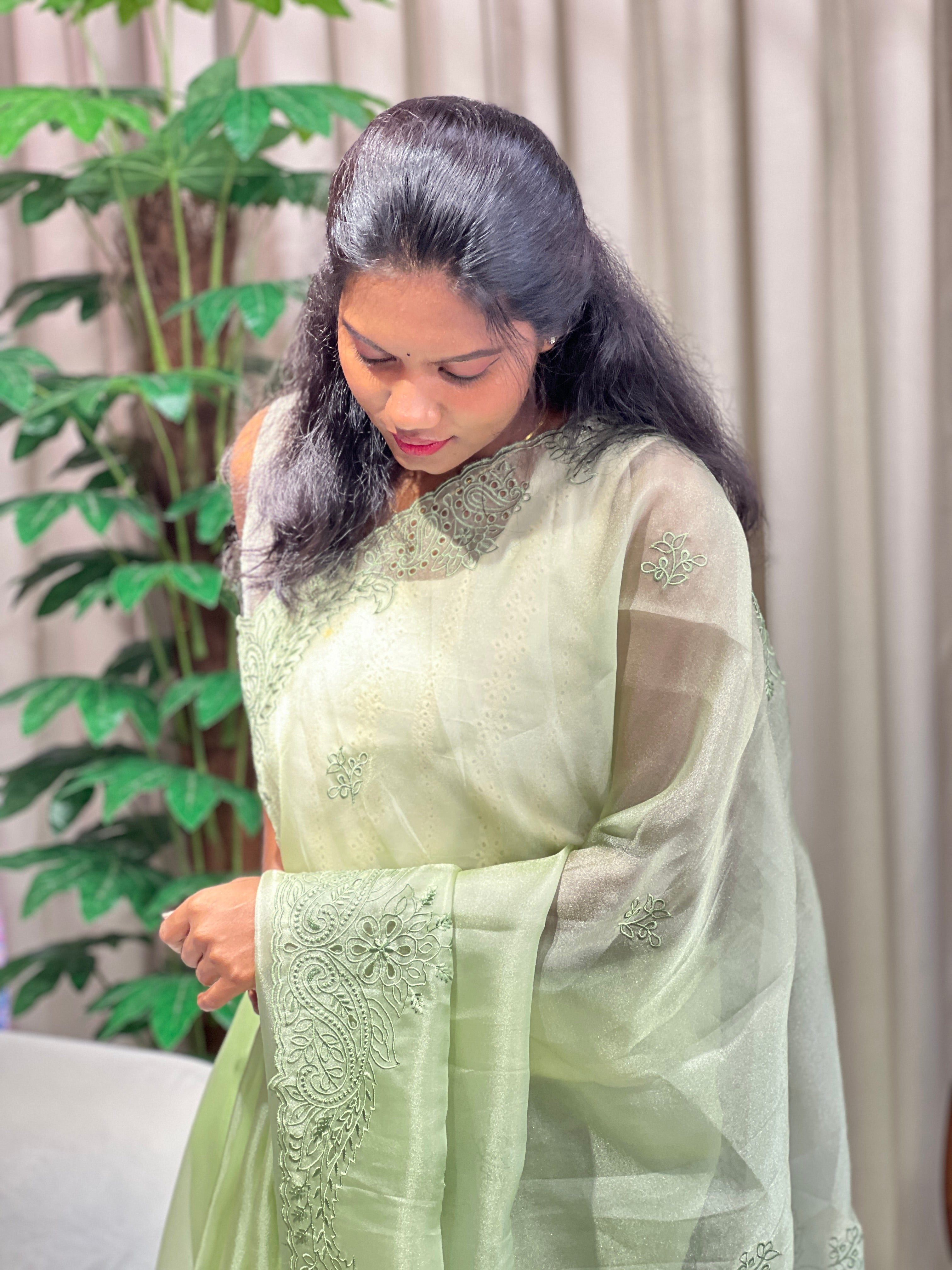 Floral Machine Embroidery Shimmer Organza Saree | BLD2066