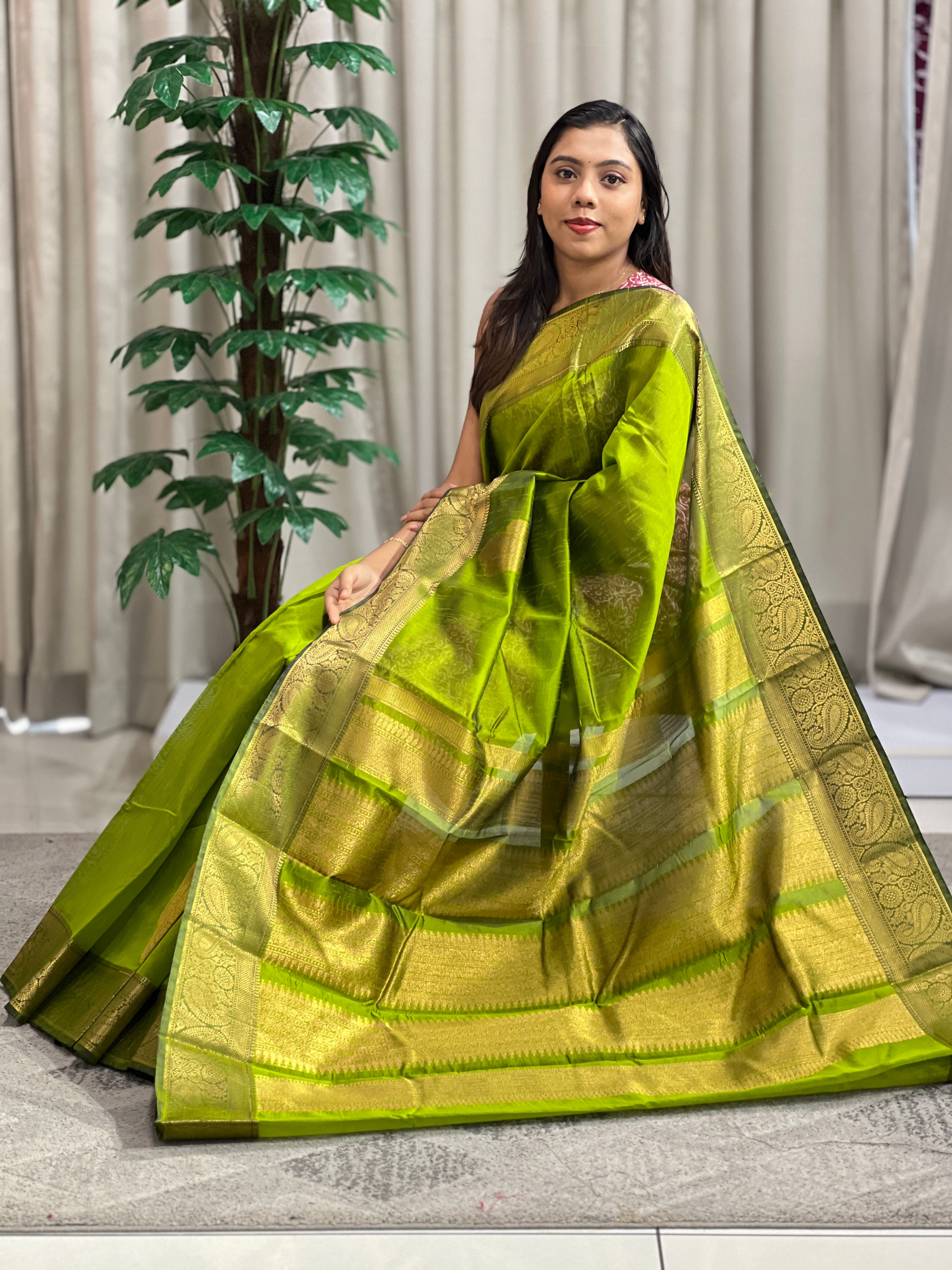 Traditional Three-Paisley Design Raw Silk Power Loom Saree | RVS162