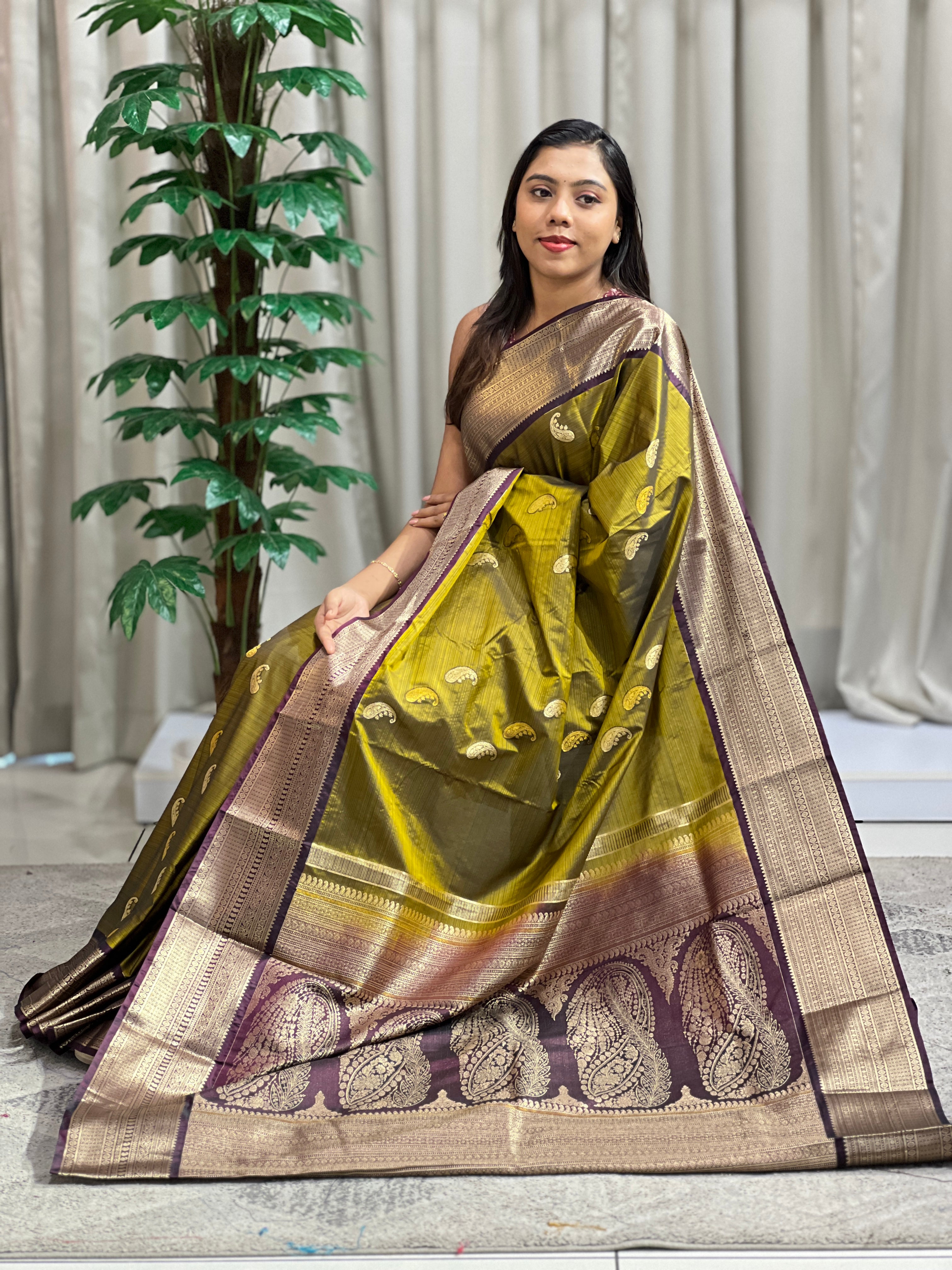 Traditional Kuttu Border Pattern Soft Silk Saree | RVS181
