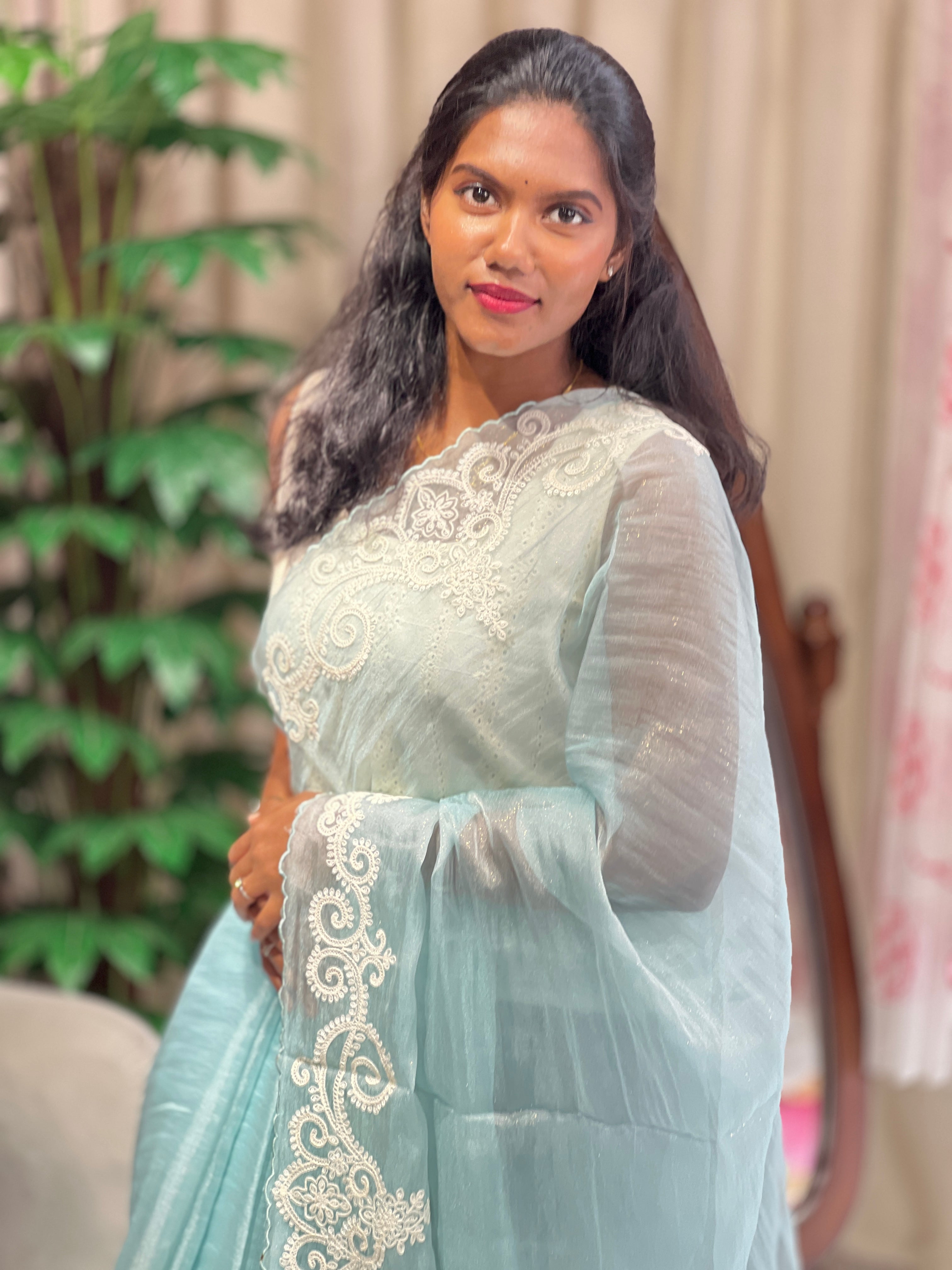 Machine Embroidery Detailed Crushed Shimmer Organza Saree | BLD2001