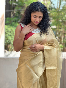 Golden Beige Color Tissue Banarasi Saree | NN104