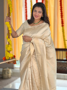 Traditional Jacquard Weaved Semi Silk Saree | HT215