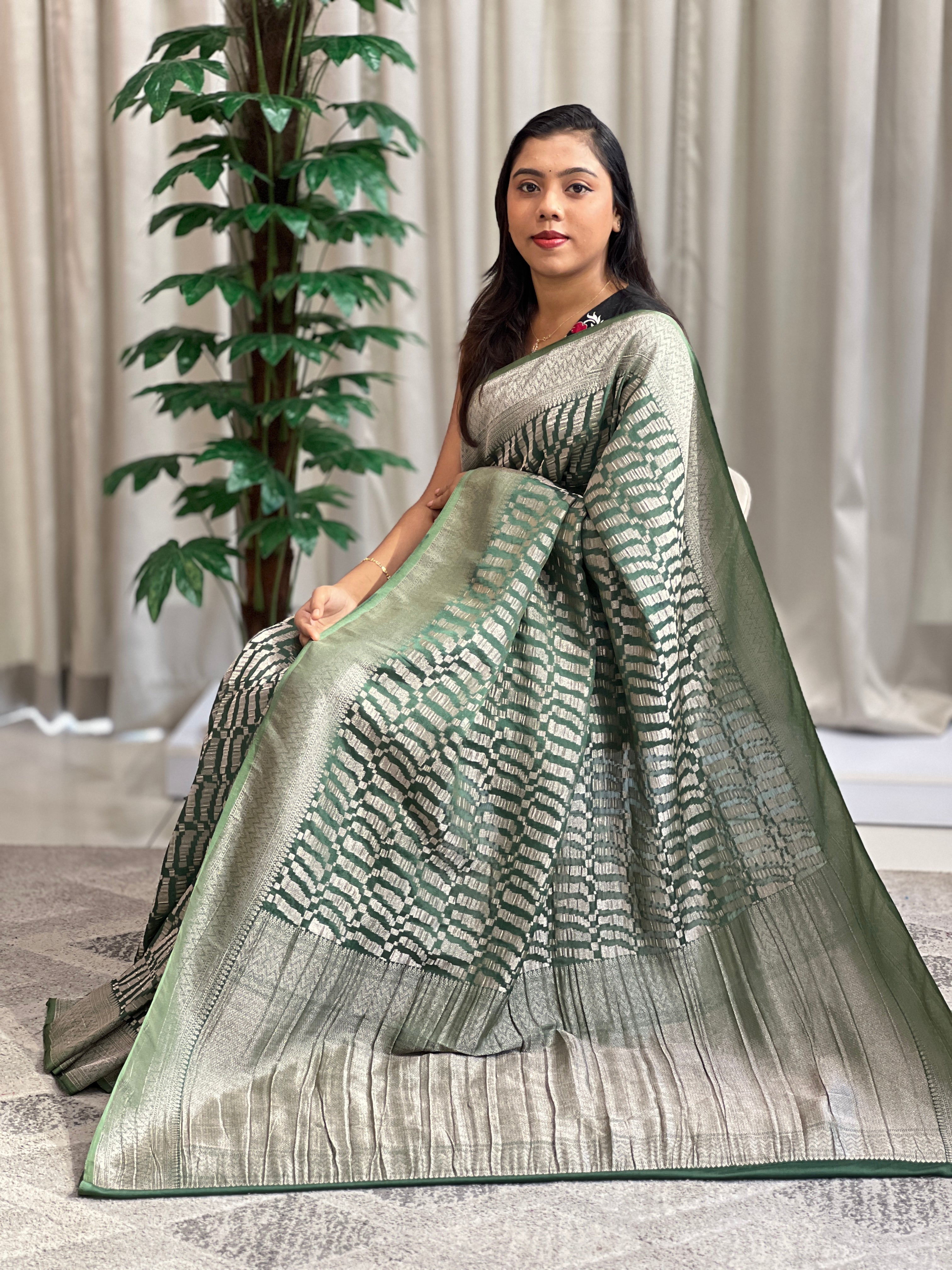 Geometrical Patterned Georgette Banarasi Saree | YNG1285