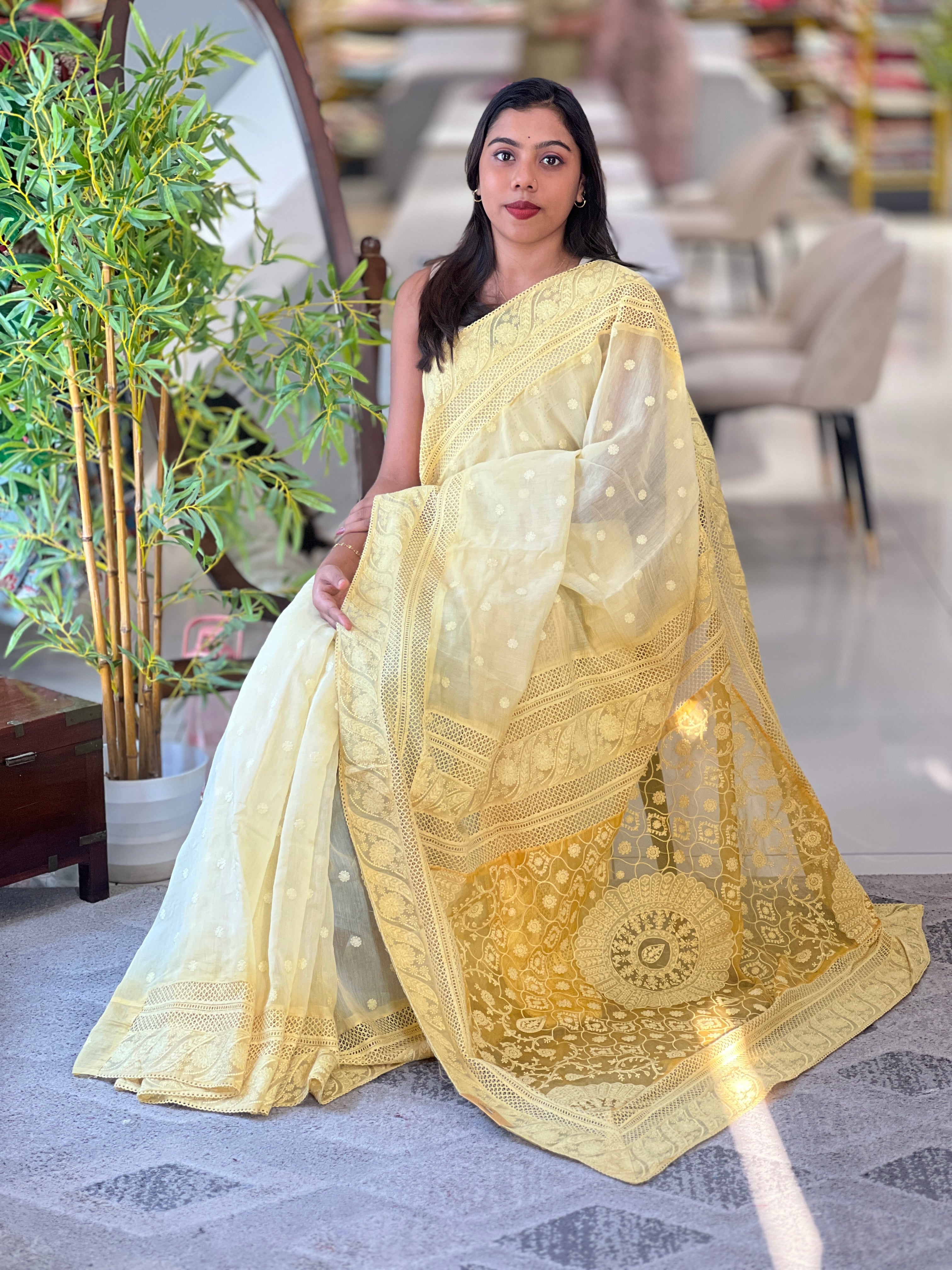 Lucknowi Inspired Embroidery Detailed Mul Cotton Saree | MM425