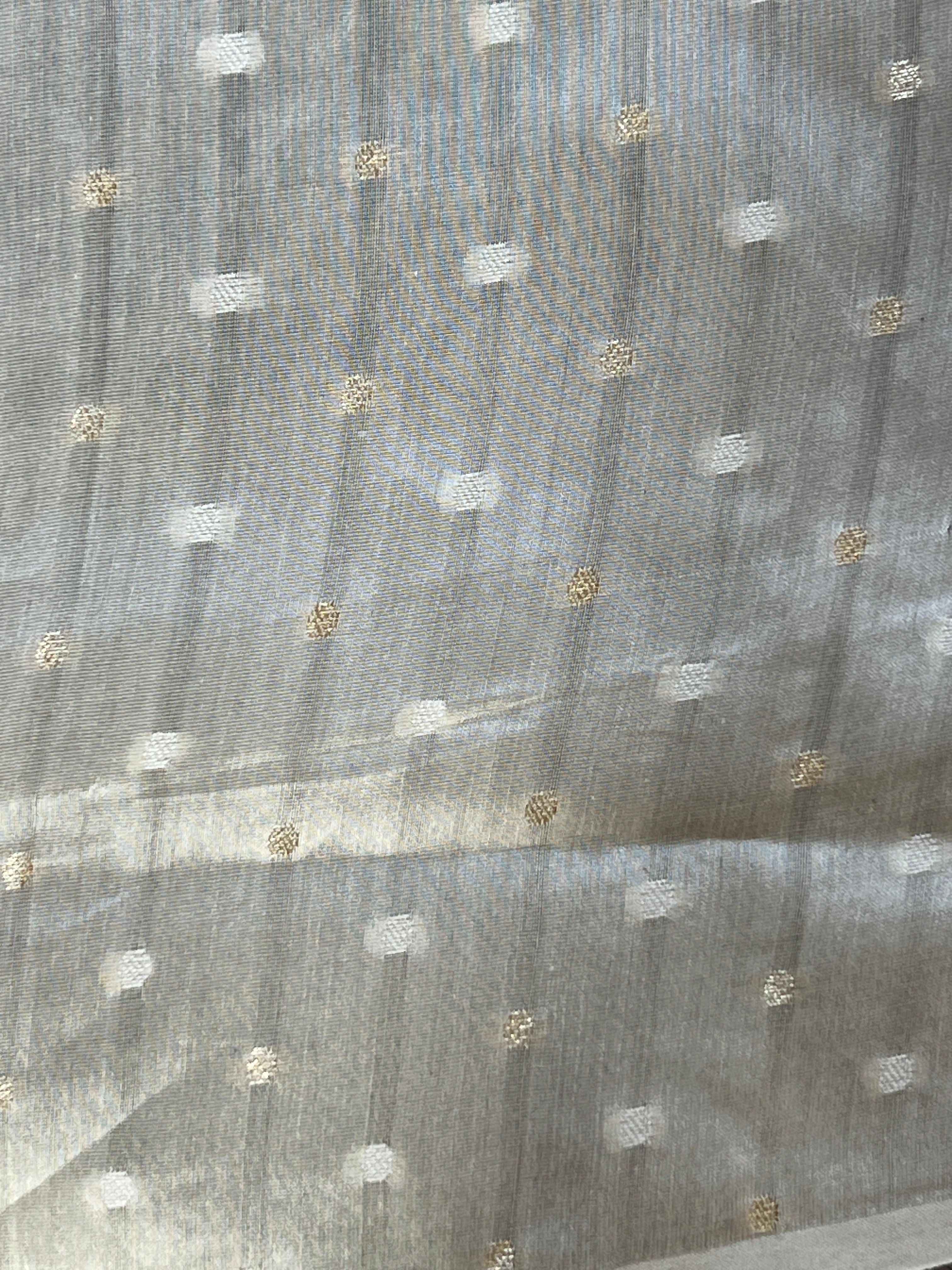 Digital Printed Floral Detailed Organza Saree | MM517