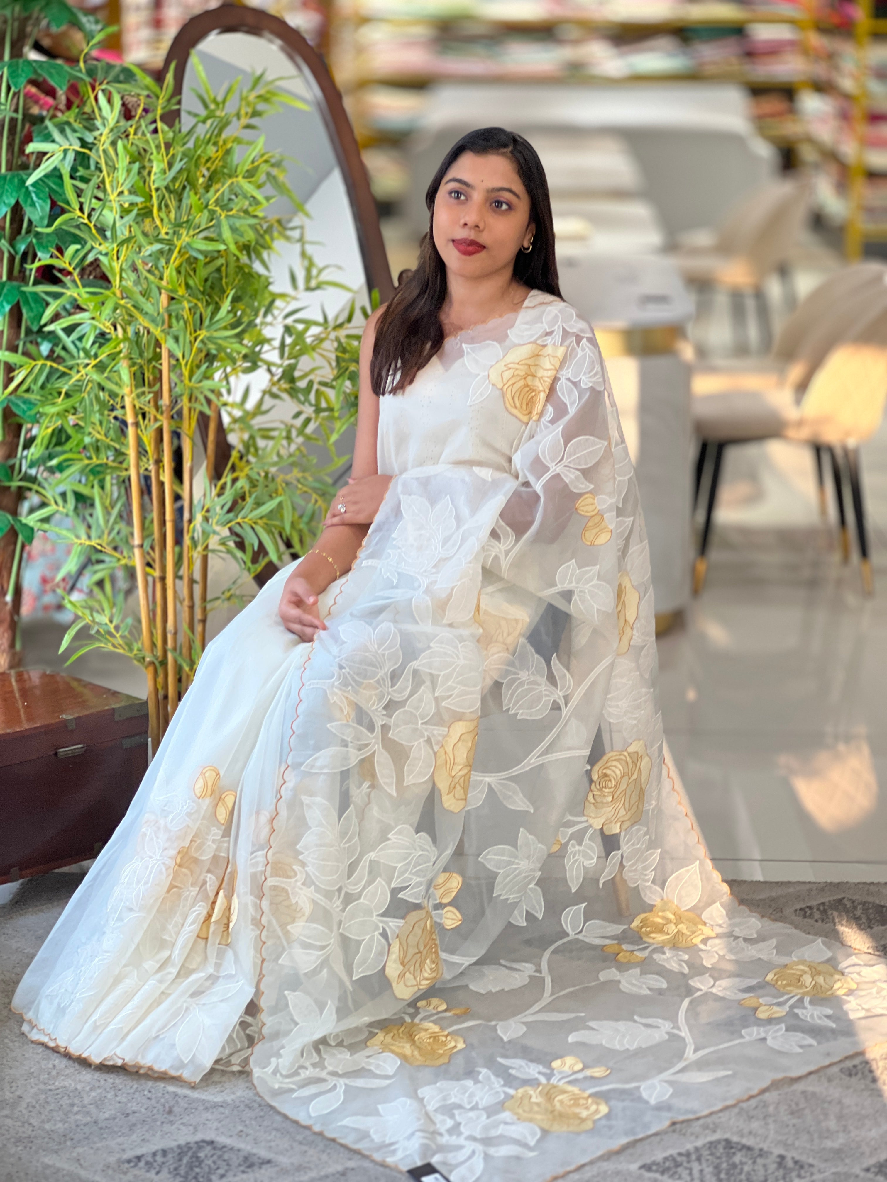 Applique Work & Embroidery Detailed Organza Saree | MM150