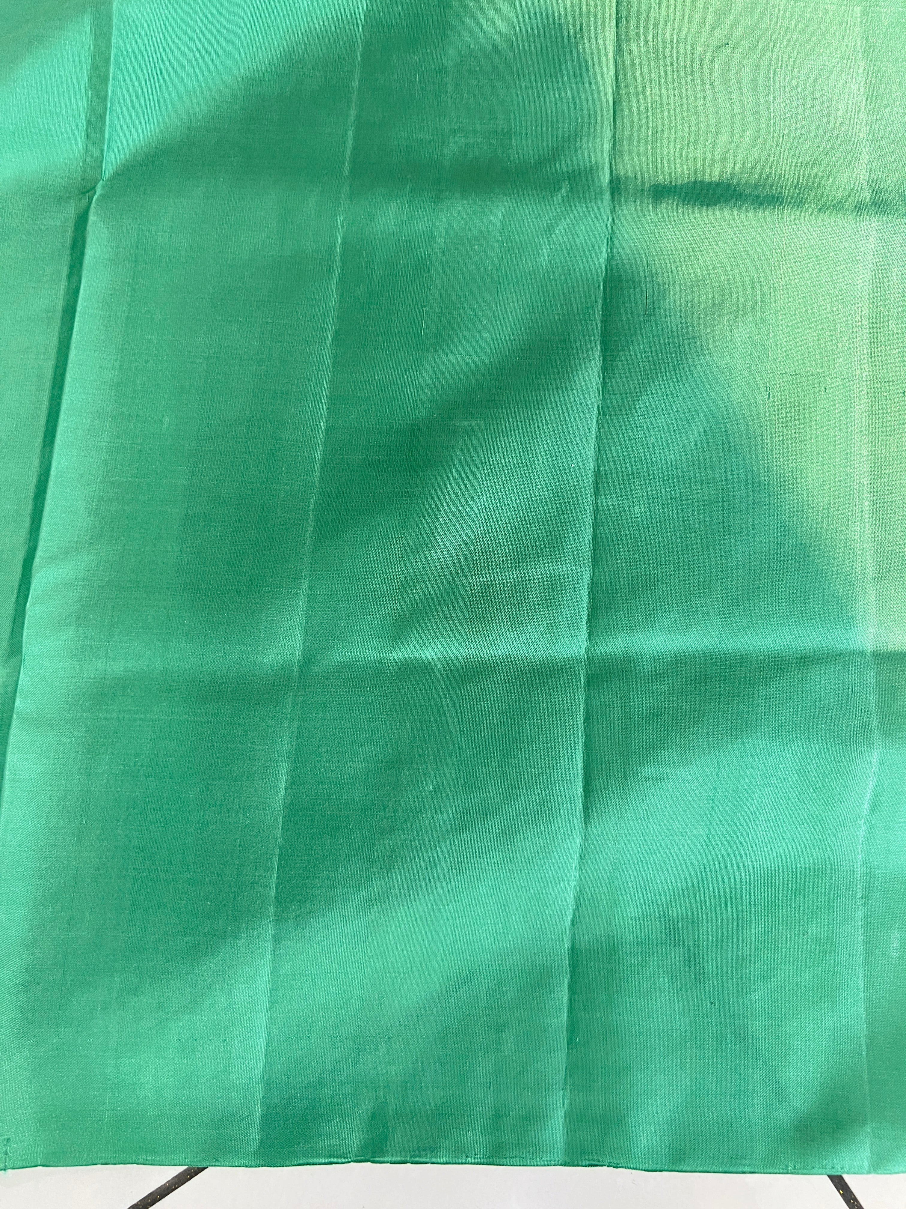 Thread Woven Soft Silk Saree | TT278