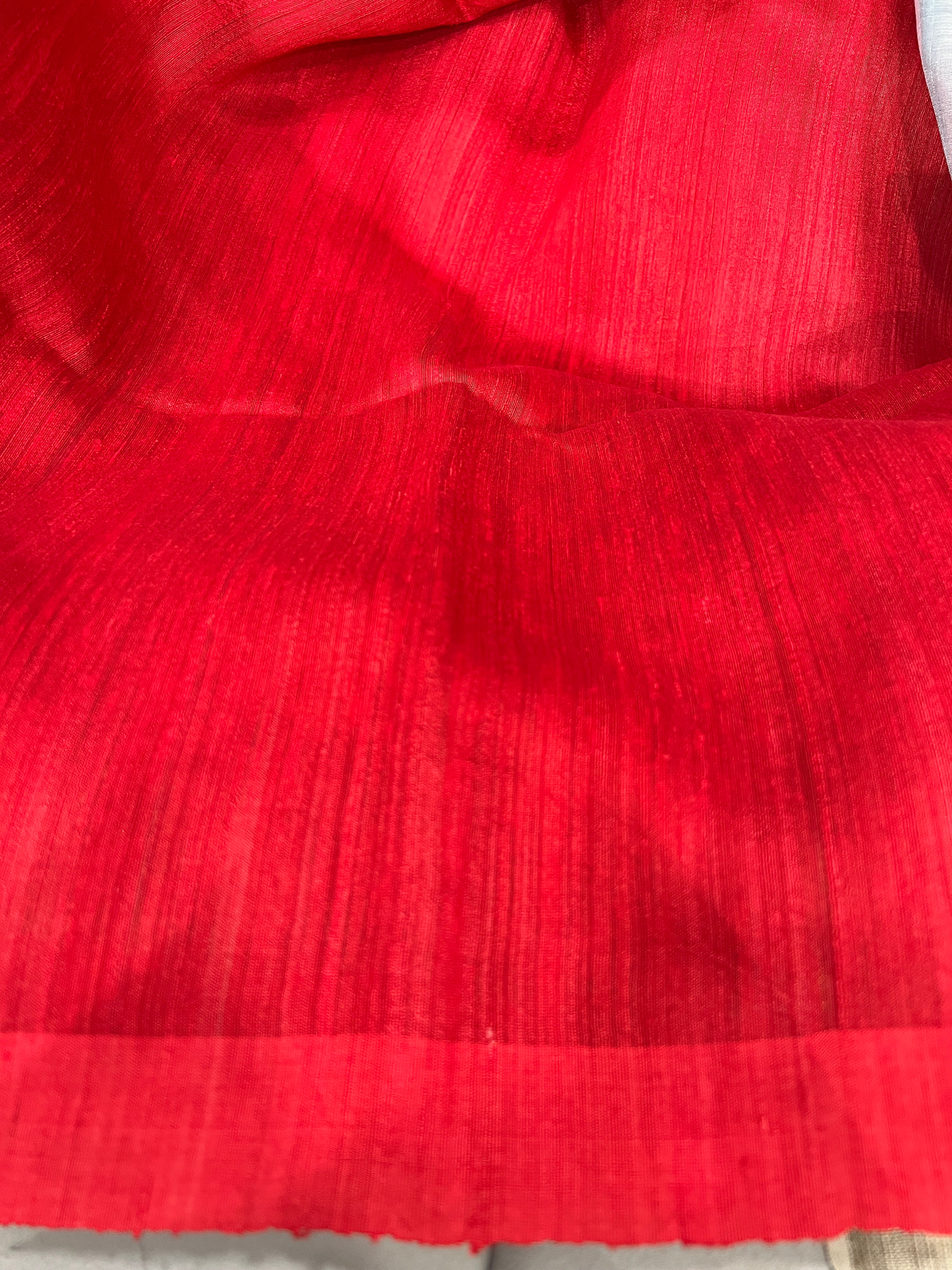 Butta Woven Organza - Matka Jute Saree | RGD740