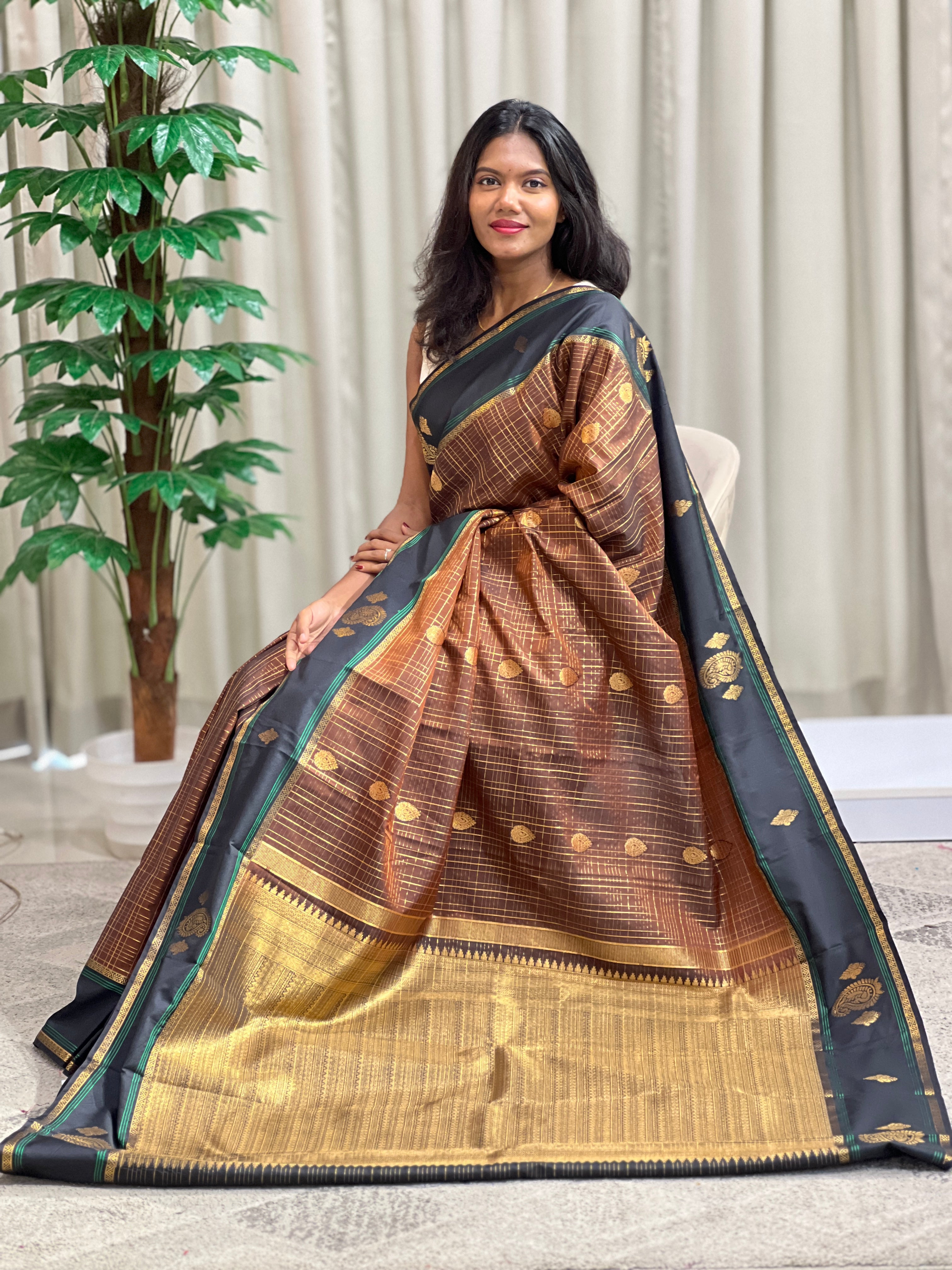 Rettapet Pattern Soft Silk Saree | RVS171