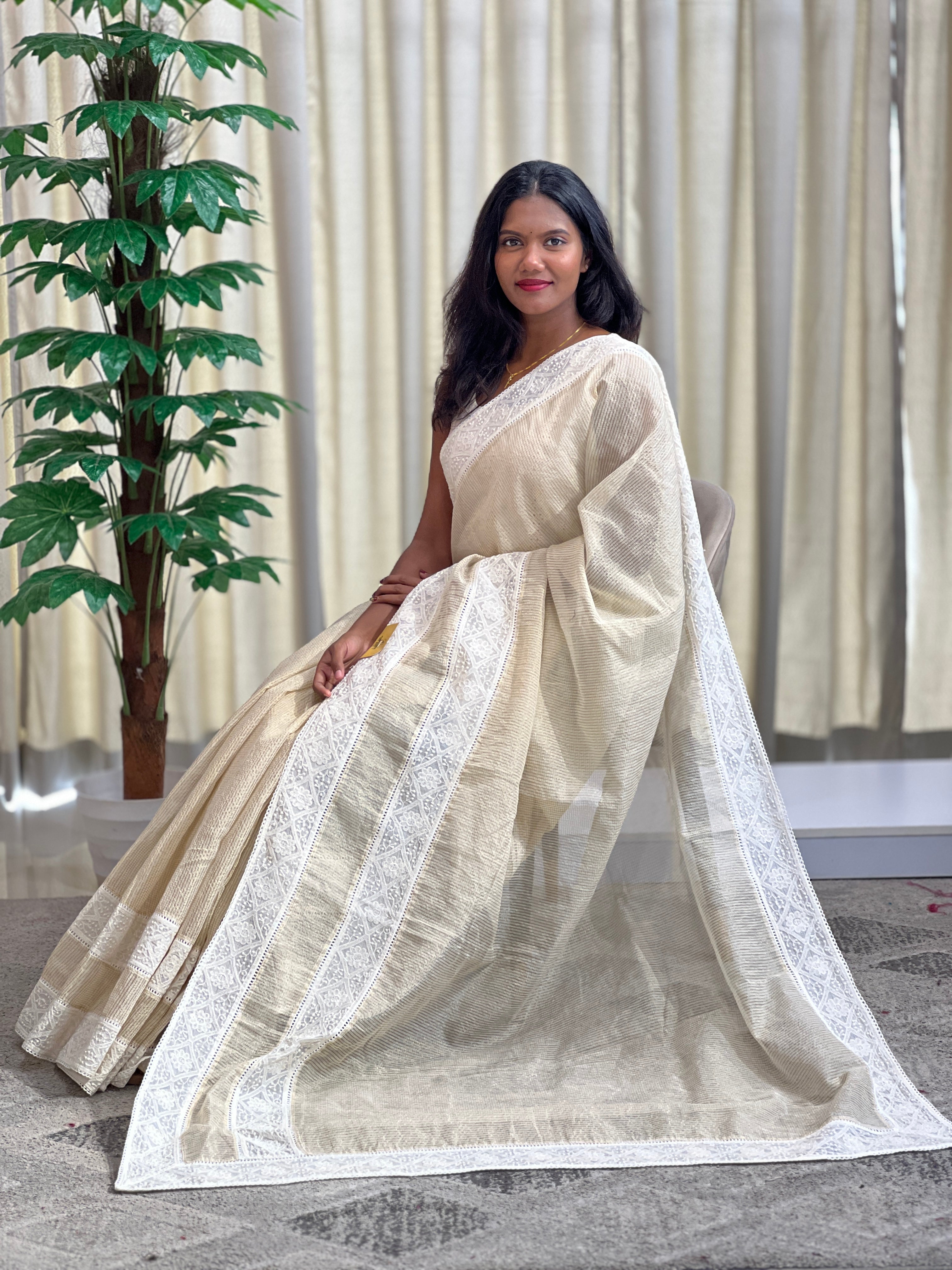 Embroidered Border Tissue Check Saree | MM577