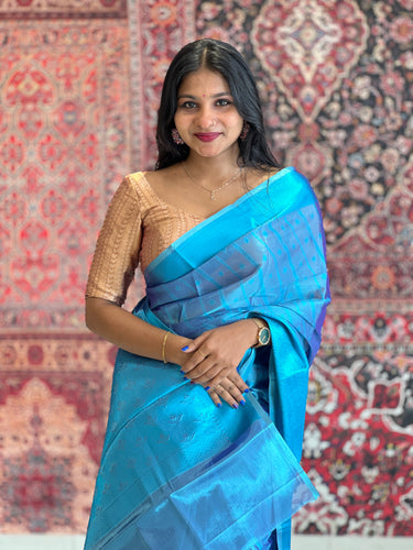 Self Weaving Pattern Tissue Saree | NN288