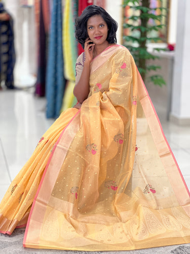 Floral Embroidered Check Organza Saree | RR220