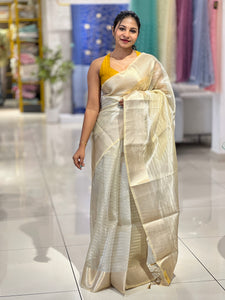 Zari Line Woven Patterned Organza Saree | NN353
