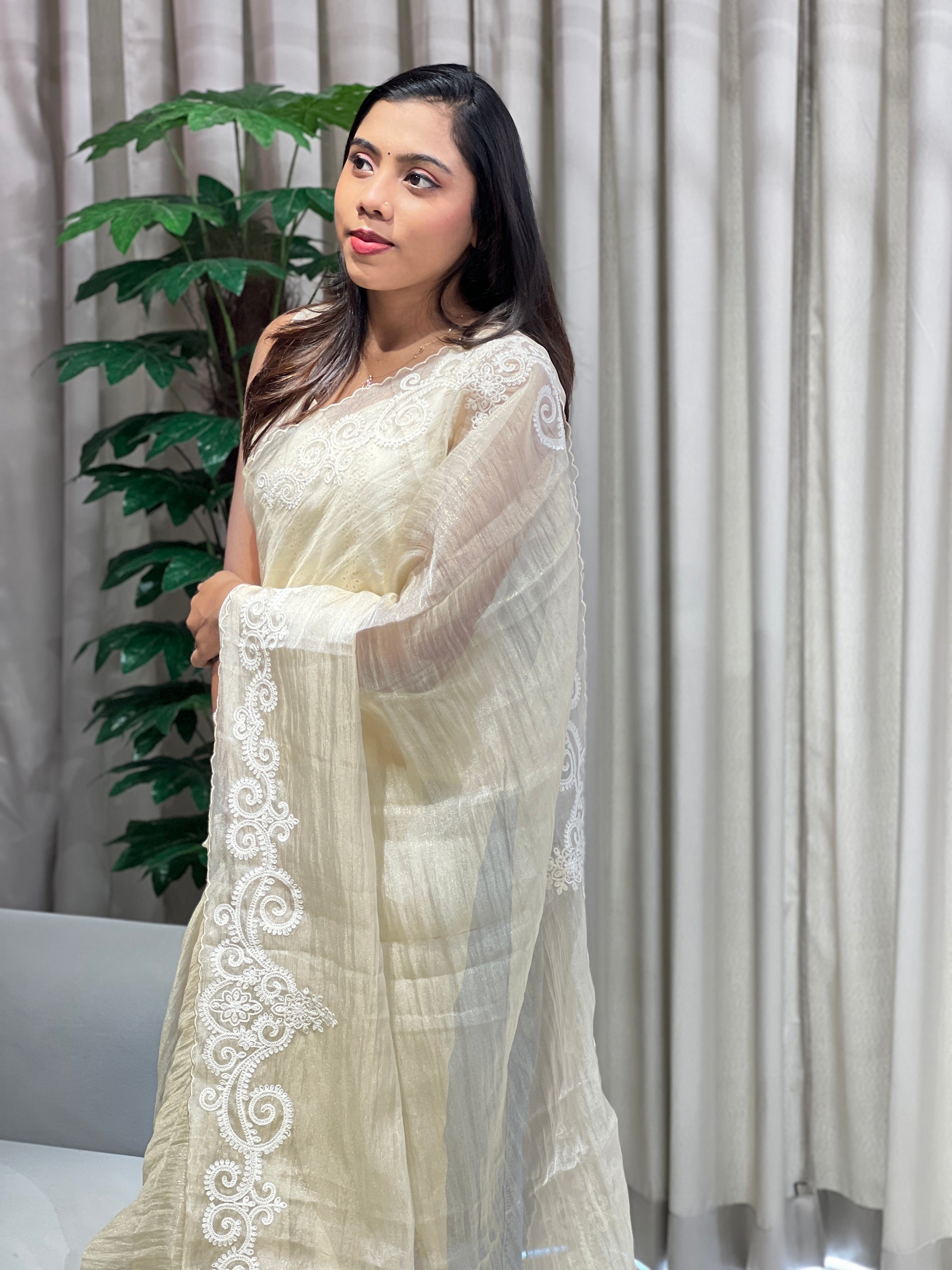 Machine Embroidery Detailed Crushed Shimmer Organza Saree | BLD2000