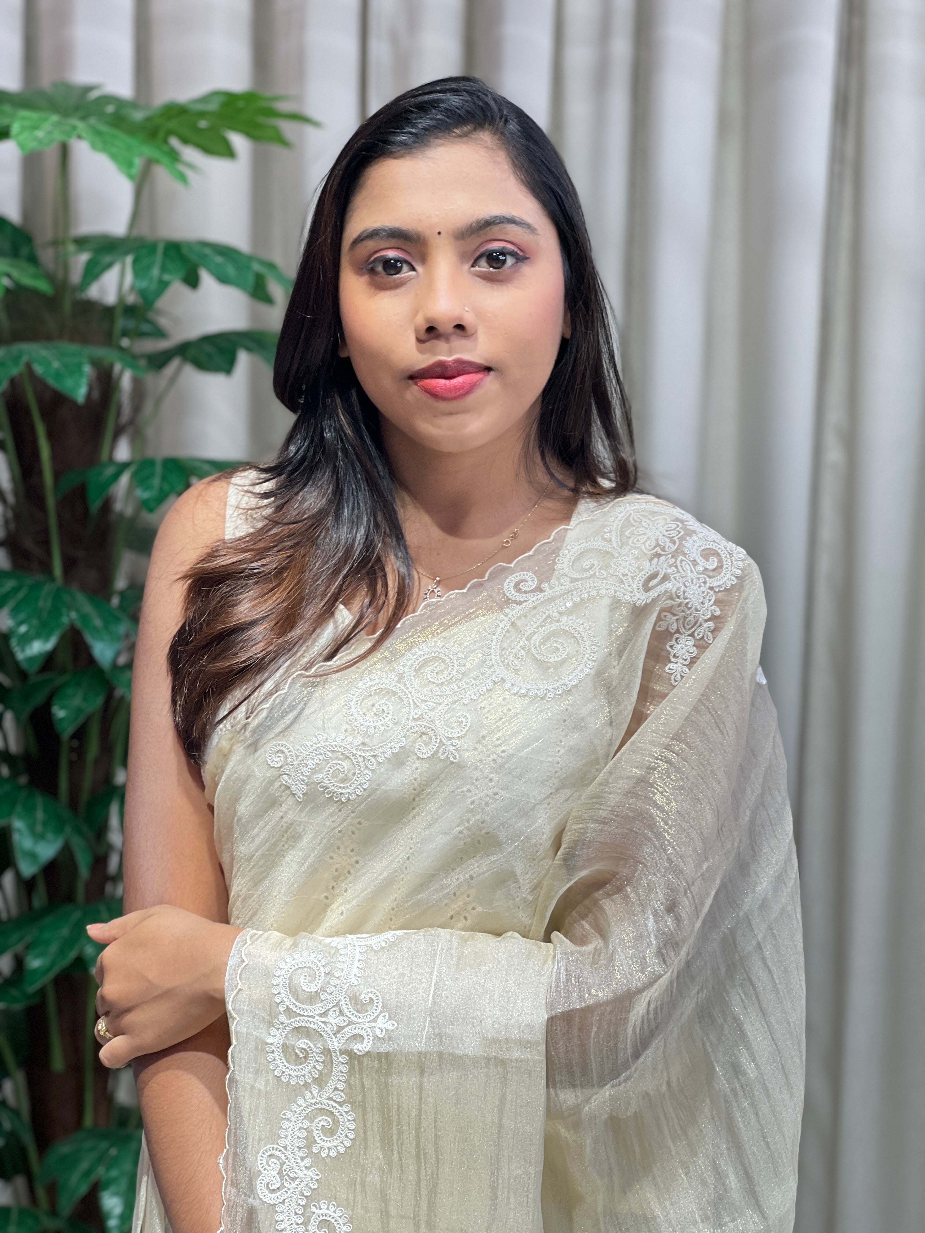 Machine Embroidery Detailed Crushed Shimmer Organza Saree | BLD2000