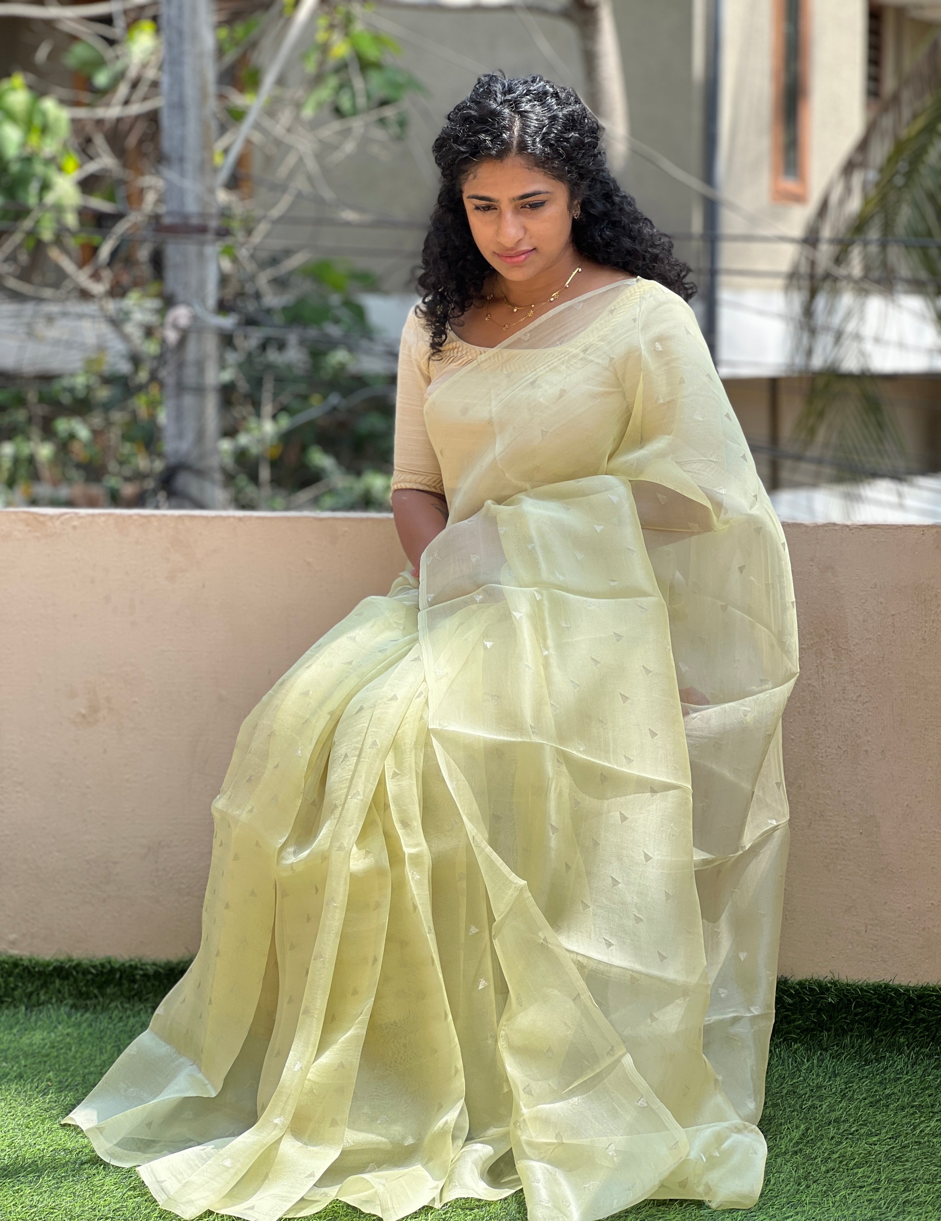 Zari Motif  Silk Organza Saree | AHD1418