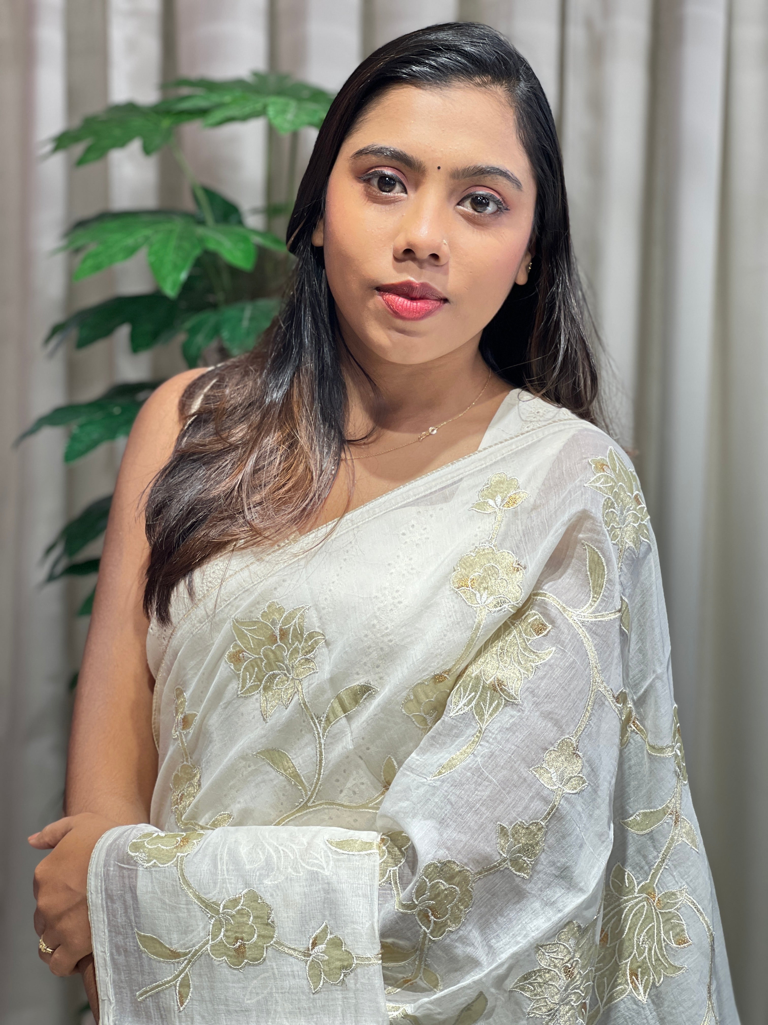 Tissue Applique Jaal Patterned Pure Chanderi Saree | AHD1913