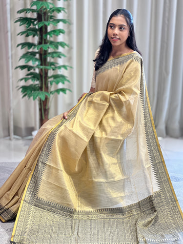 Thread Weaving Pattern Tissue Saree | HT130