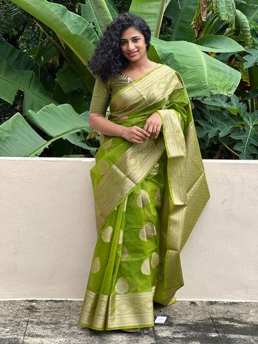 Floral Motif With Zari Weaving Pattern Organza Banarasi Saree |  NN102