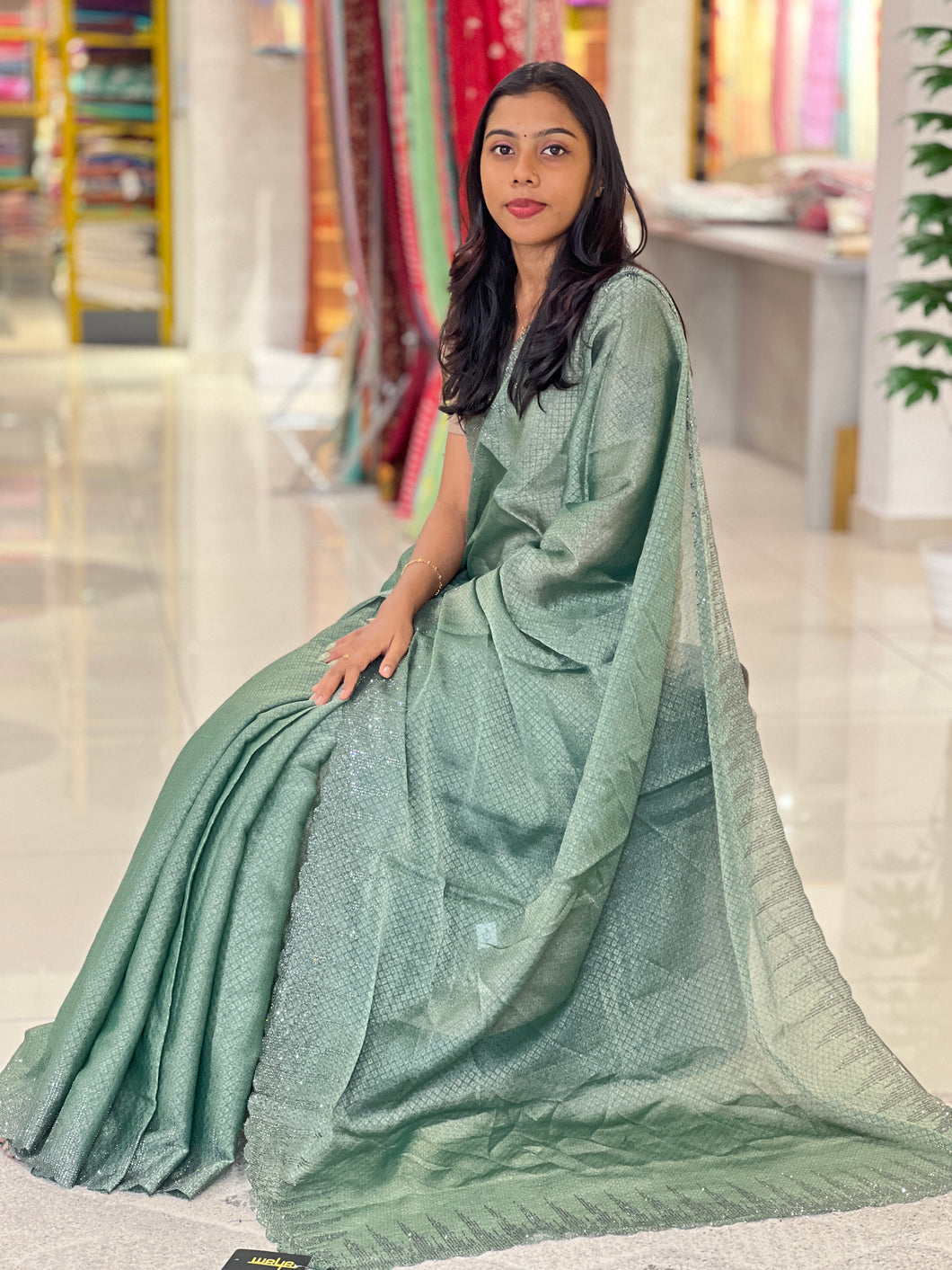 Stone Work Scallop Pattern Organza Saree | SBP423