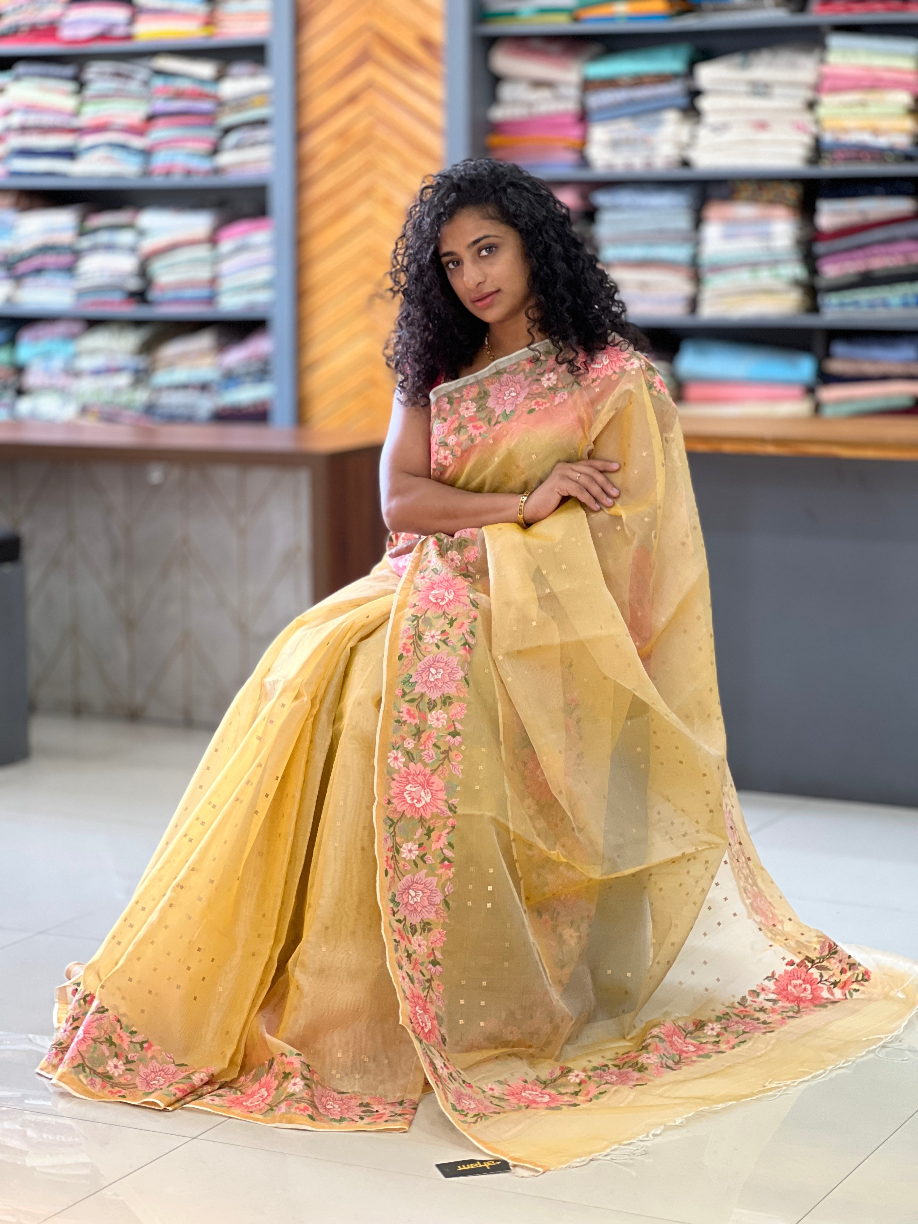 Floral Embroidery Border Design Tussar Organza Saree | RGD118